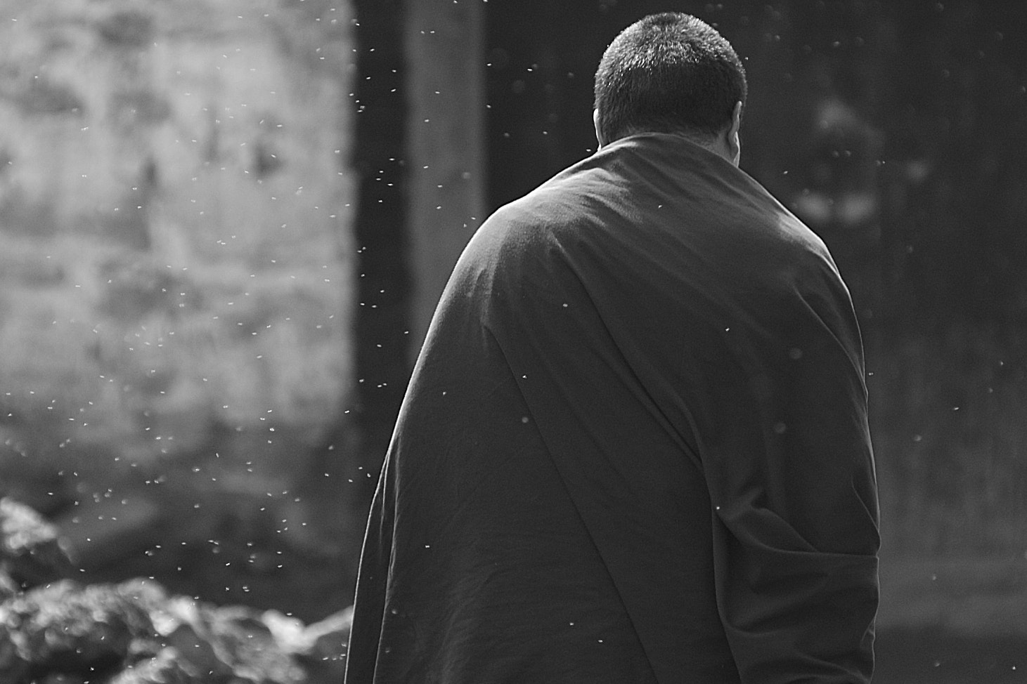 Nikon D70 sample photo. Lama photography