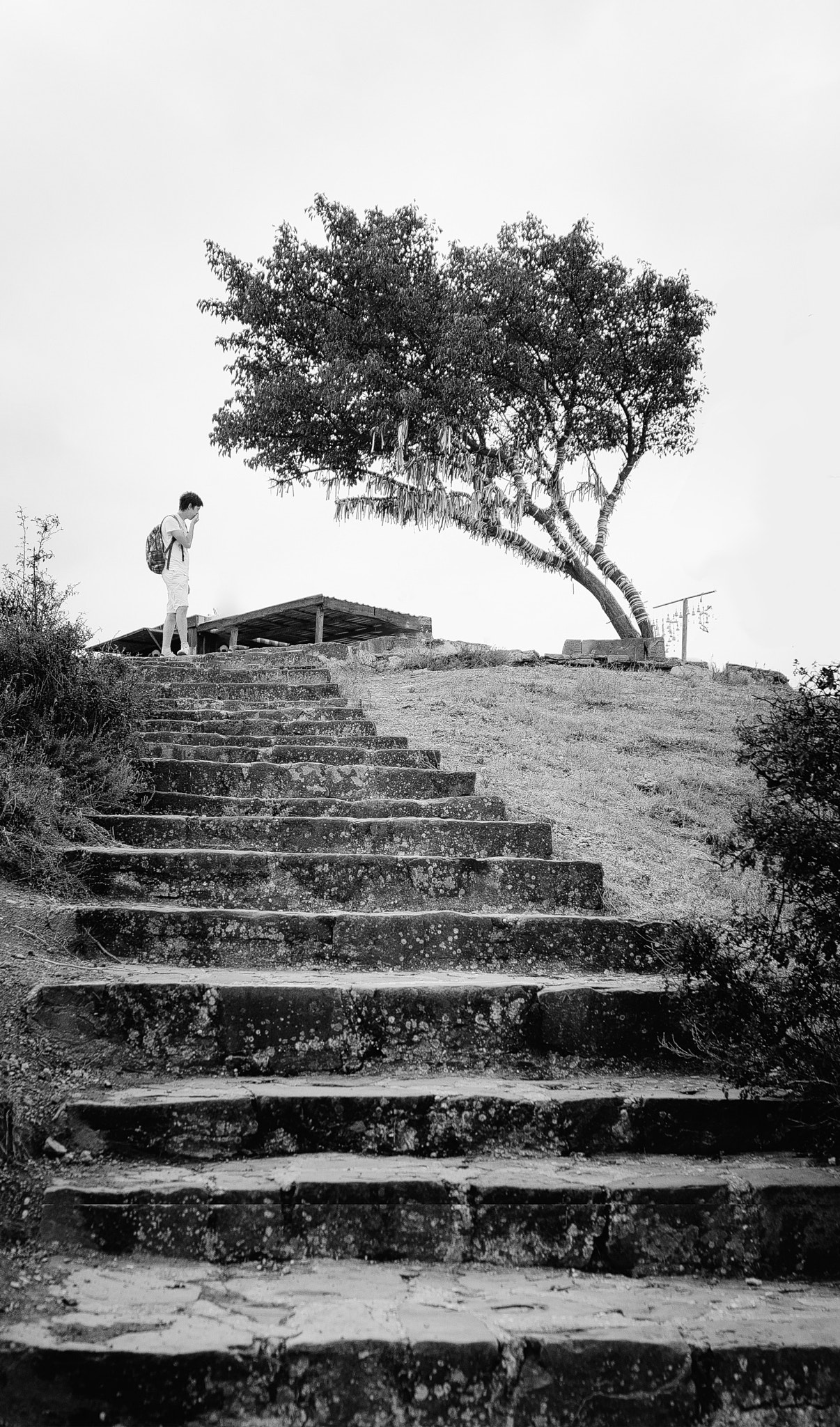 AF Zoom-Nikkor 28-85mm f/3.5-4.5 sample photo. The stairs photography