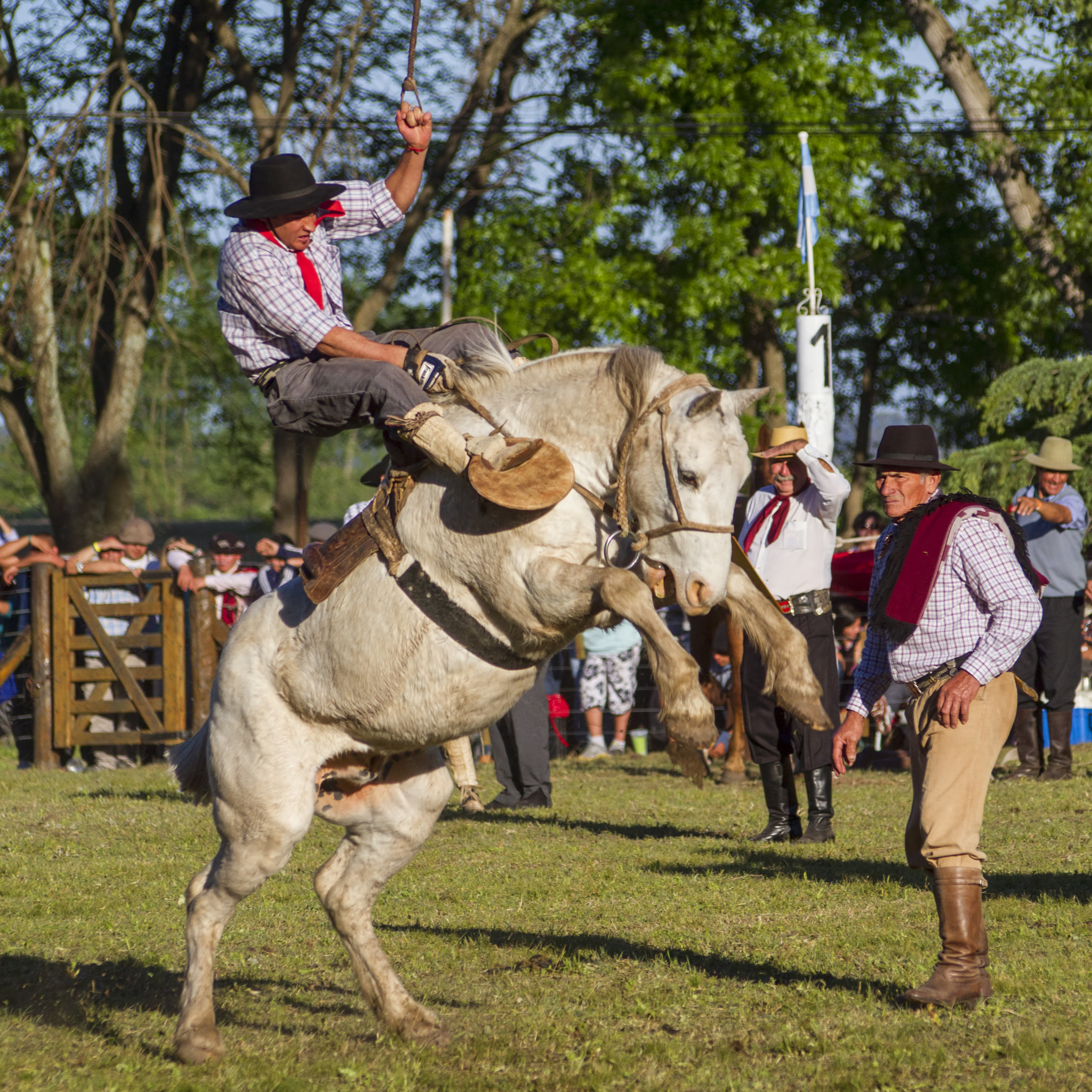 Sigma 70-300mm F4-5.6 APO DG Macro sample photo. Gaucho riding photography