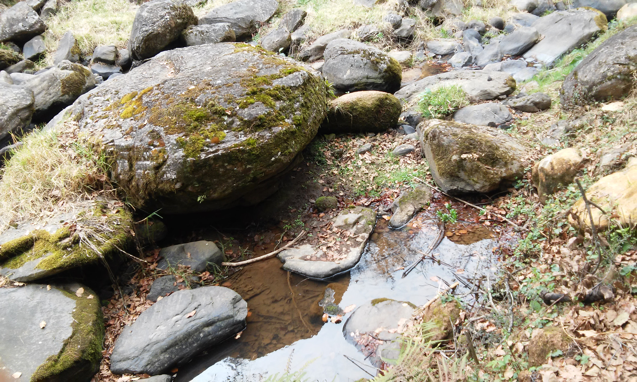 LG L80 SINGLE sample photo. River  photography