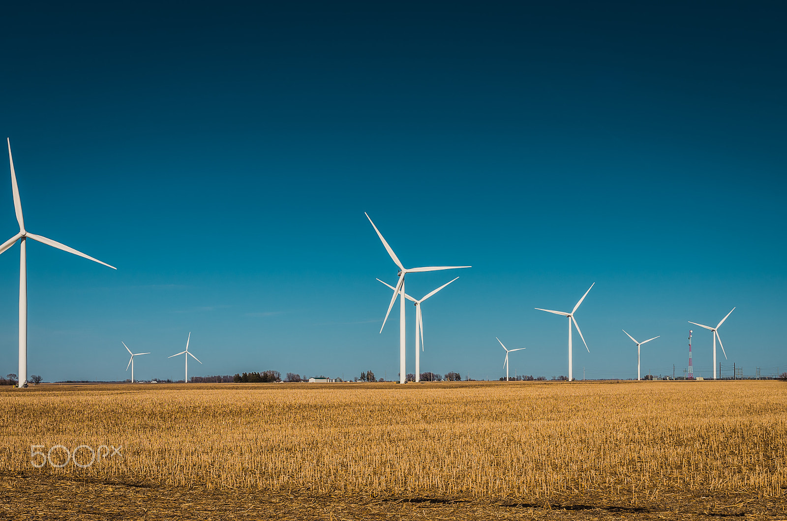 Sigma 17-70mm F2.8-4 DC Macro HSM Contemporary sample photo. Fields of energy photography