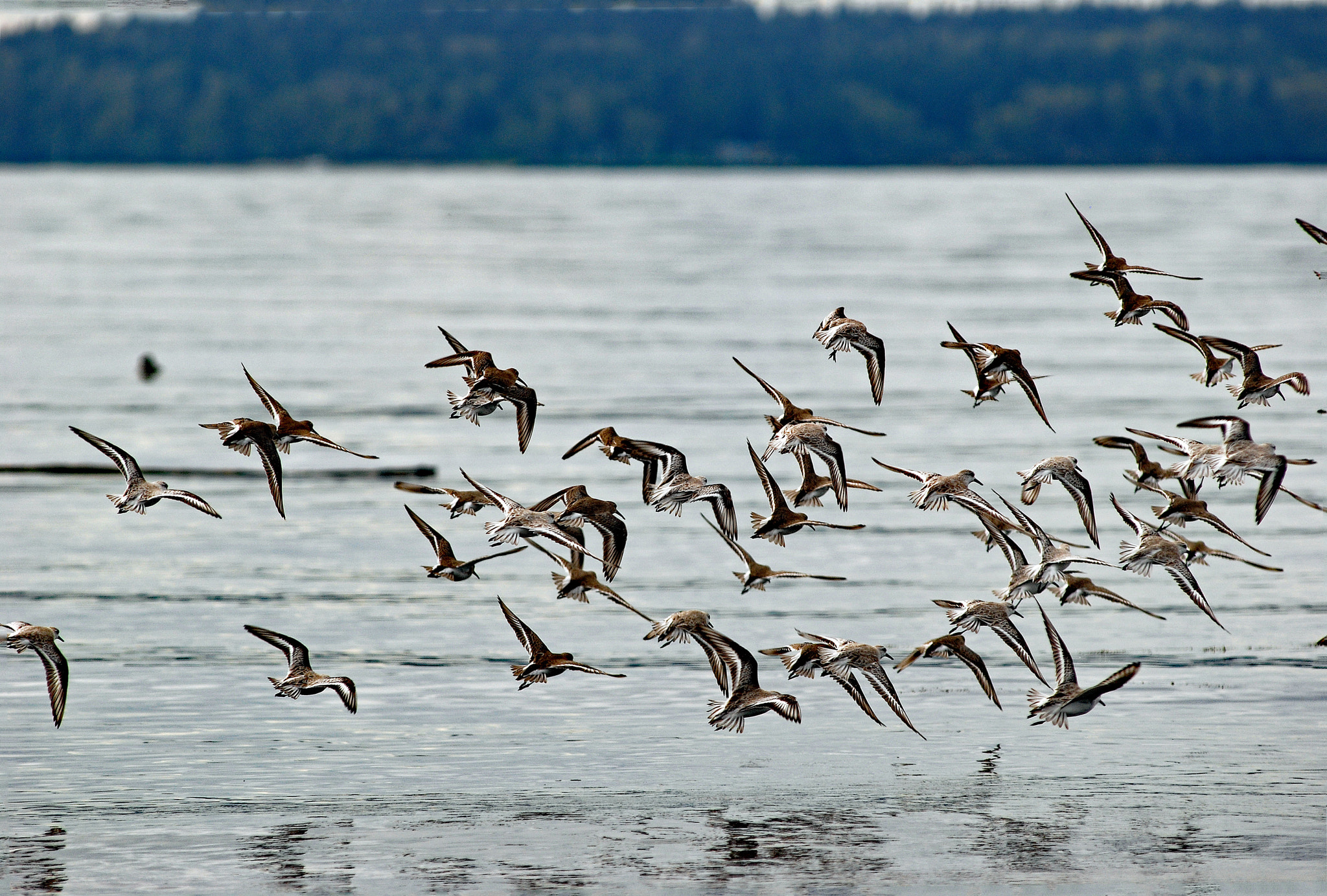Nikon AF-Nikkor 80-200mm F2.8D ED sample photo. Taking off photography