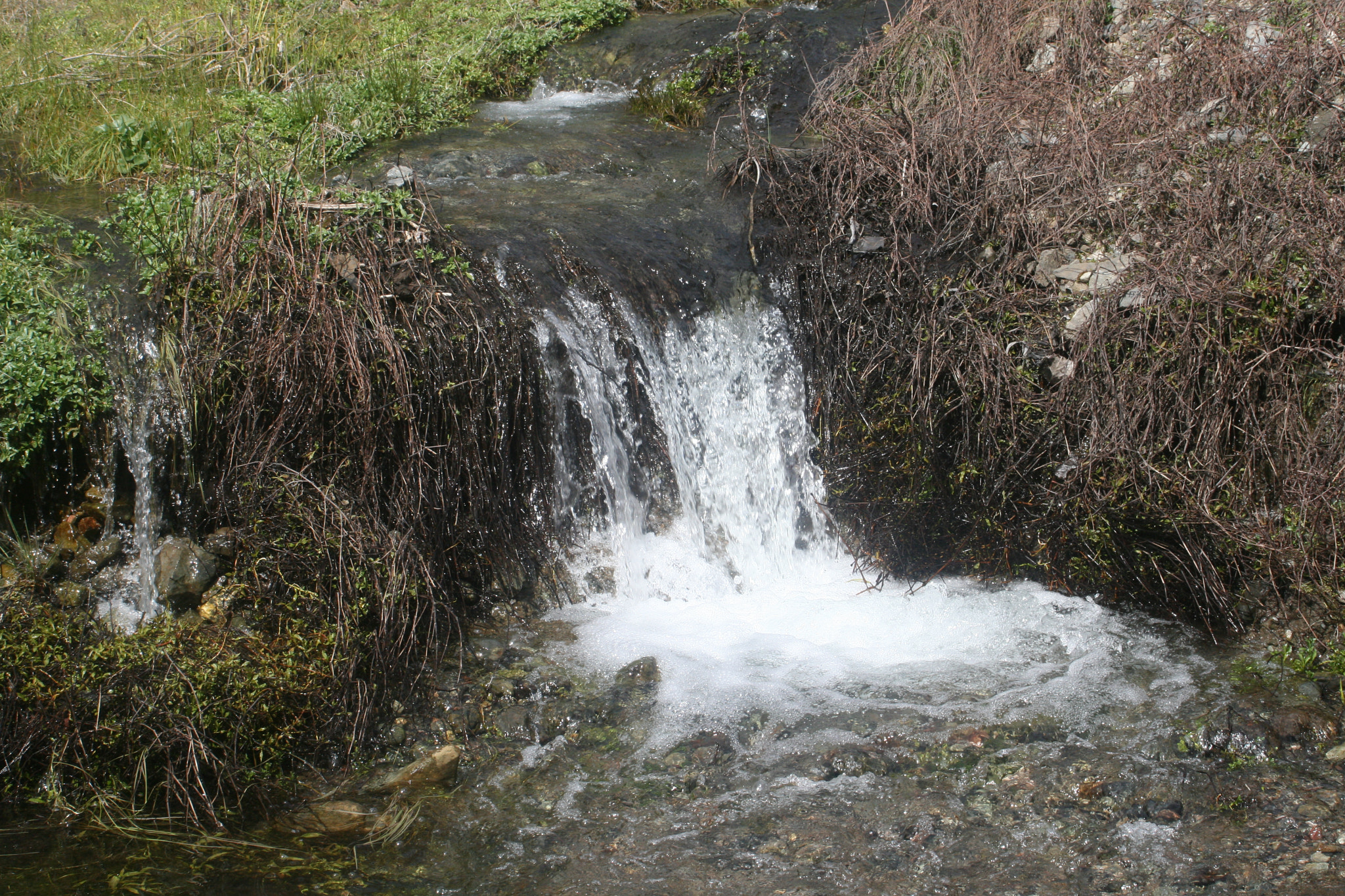 Canon EF 55-200mm F4.5-5.6 II USM sample photo