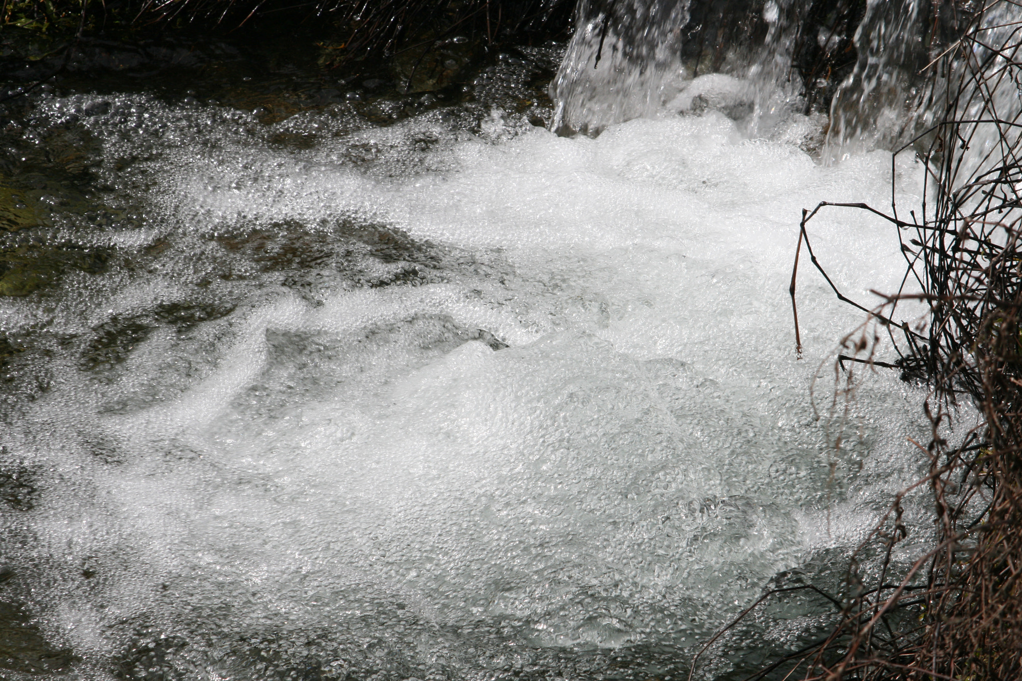 Canon EF 55-200mm F4.5-5.6 II USM sample photo