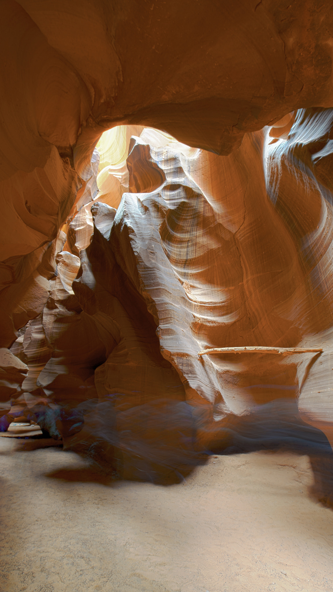 16-35mm F4 OSS sample photo. Antelope walking shadow photography
