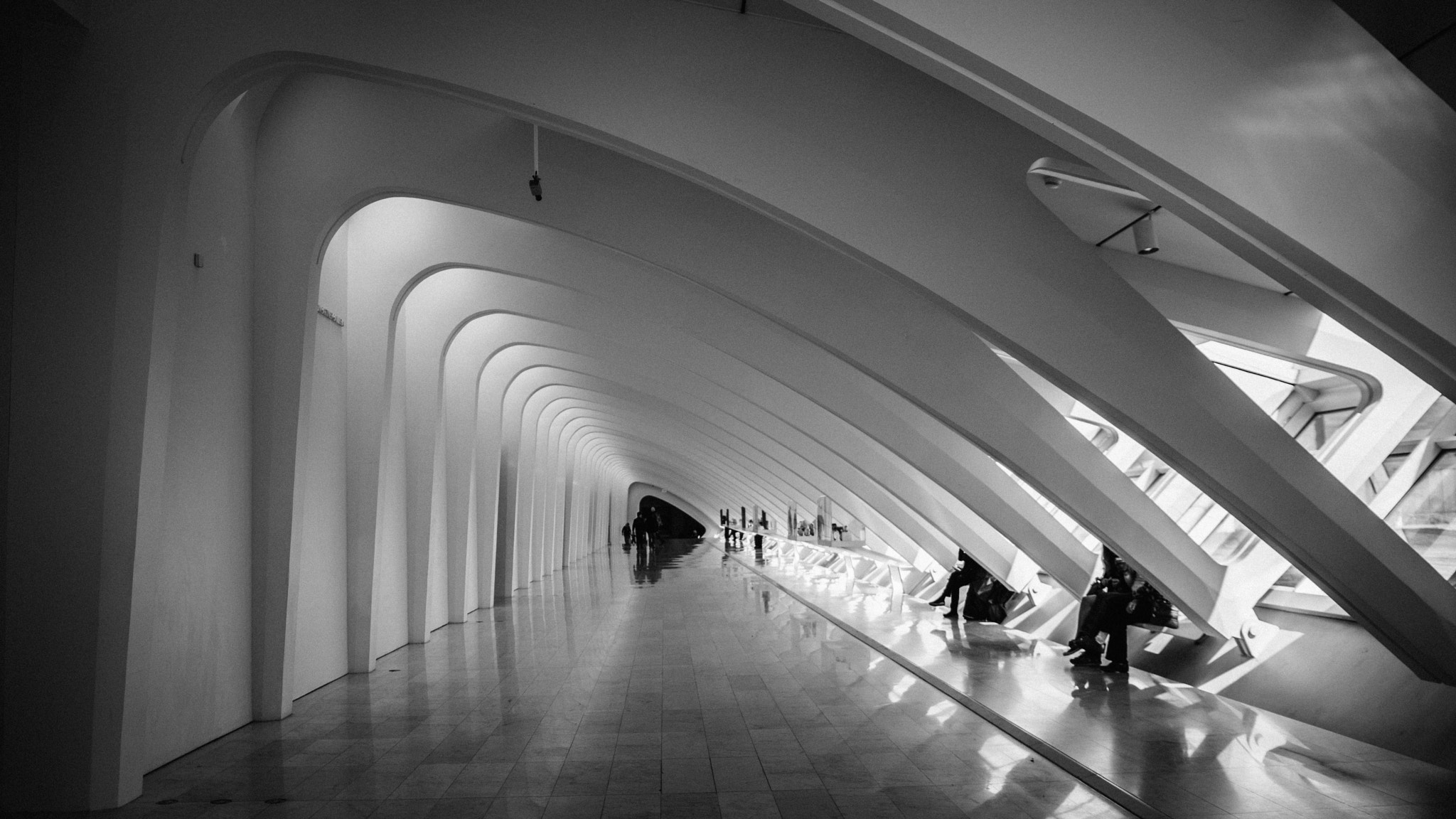 Sony a6300 + Sony DT 50mm F1.8 SAM sample photo. Milwaukee art museum photography