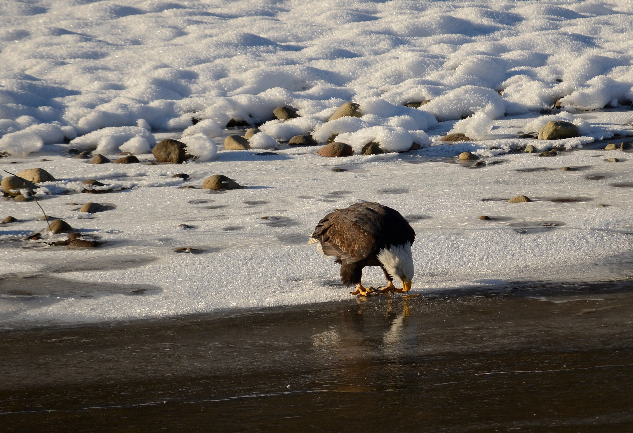 Sigma 120-400mm F4.5-5.6 DG OS HSM sample photo. () photography