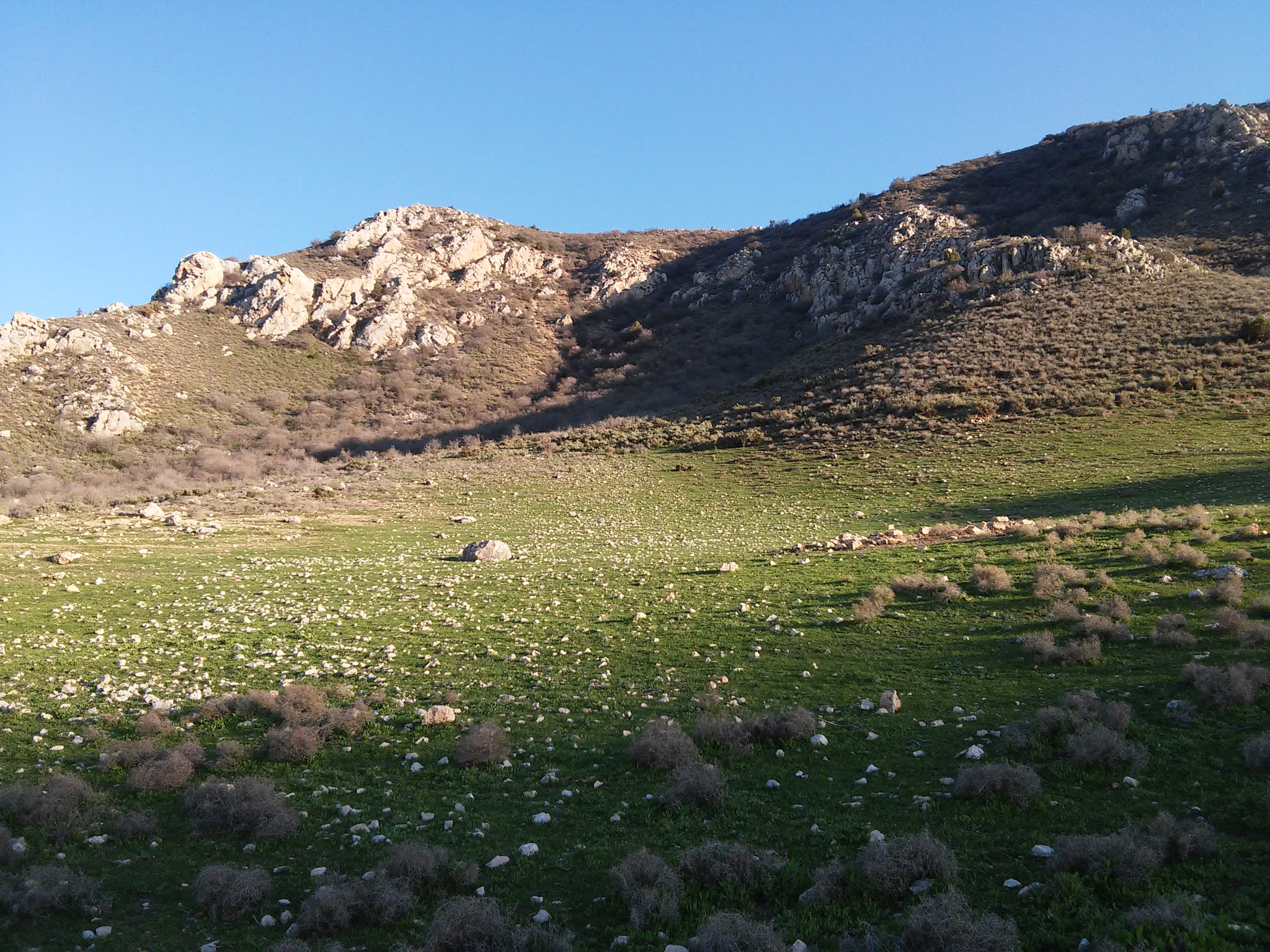 LG L90 sample photo. 20150402_180934.jpg photography