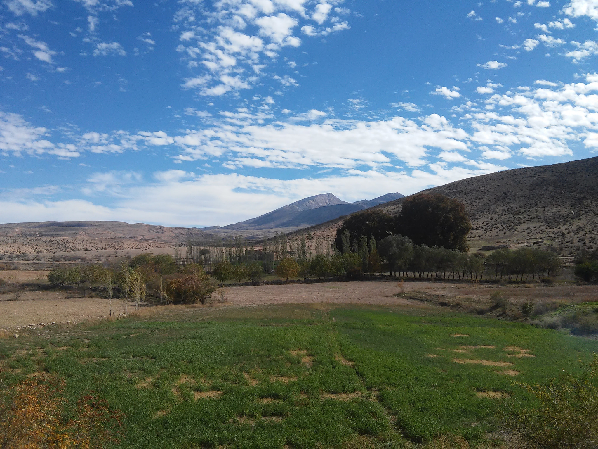 LG L90 sample photo. 20141024_112457.jpg photography