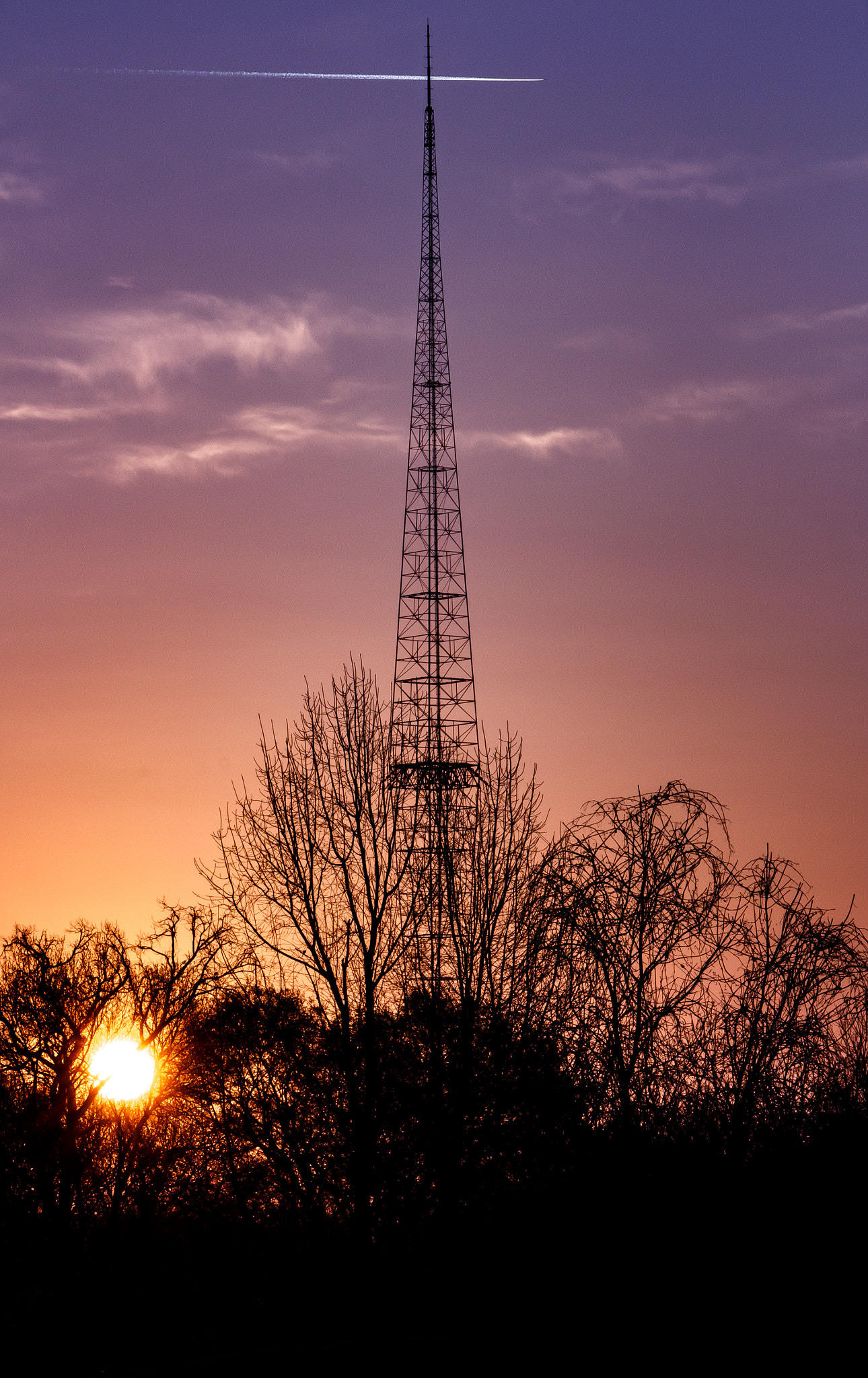 Sigma 70-300mm F4-5.6 APO DG Macro sample photo. Good morning, nashville! photography