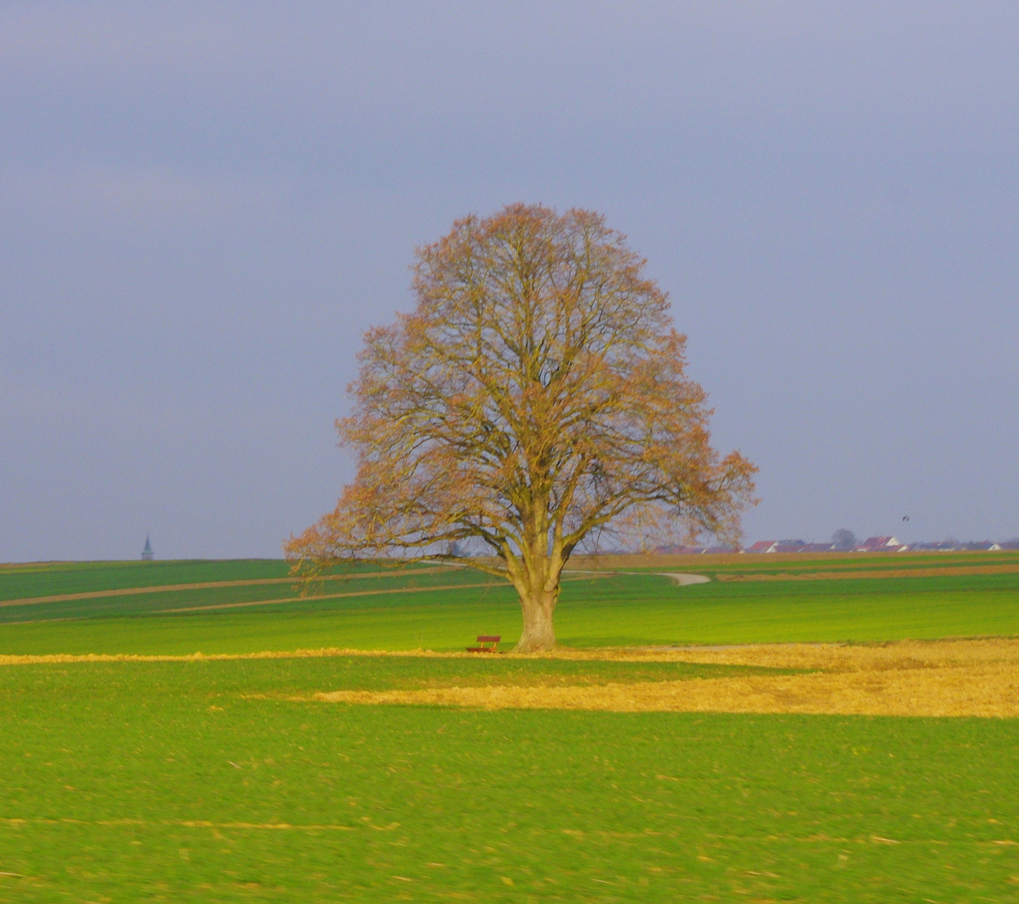 smc PENTAX-DA L 55-300mm F4-5.8 ED sample photo. The scenery is colorful again photography