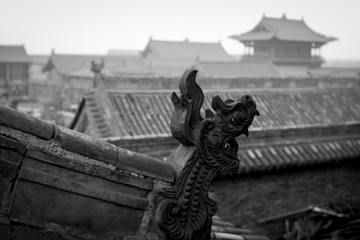 Summilux-M 1:1.4/50 sample photo
