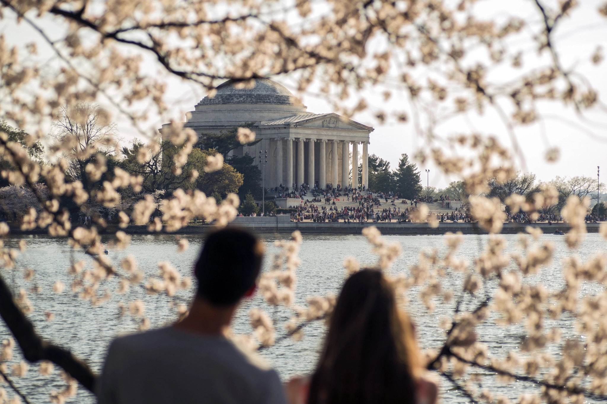 Sony Alpha DSLR-A850 sample photo. Love is different in dc.. photography