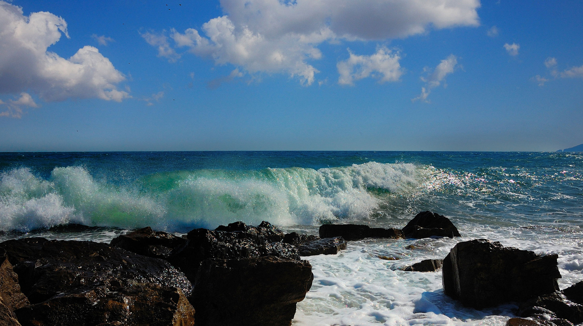 Nikon D40 + Sigma 18-50mm F2.8 EX DC Macro sample photo. The excitement on the black sea photography
