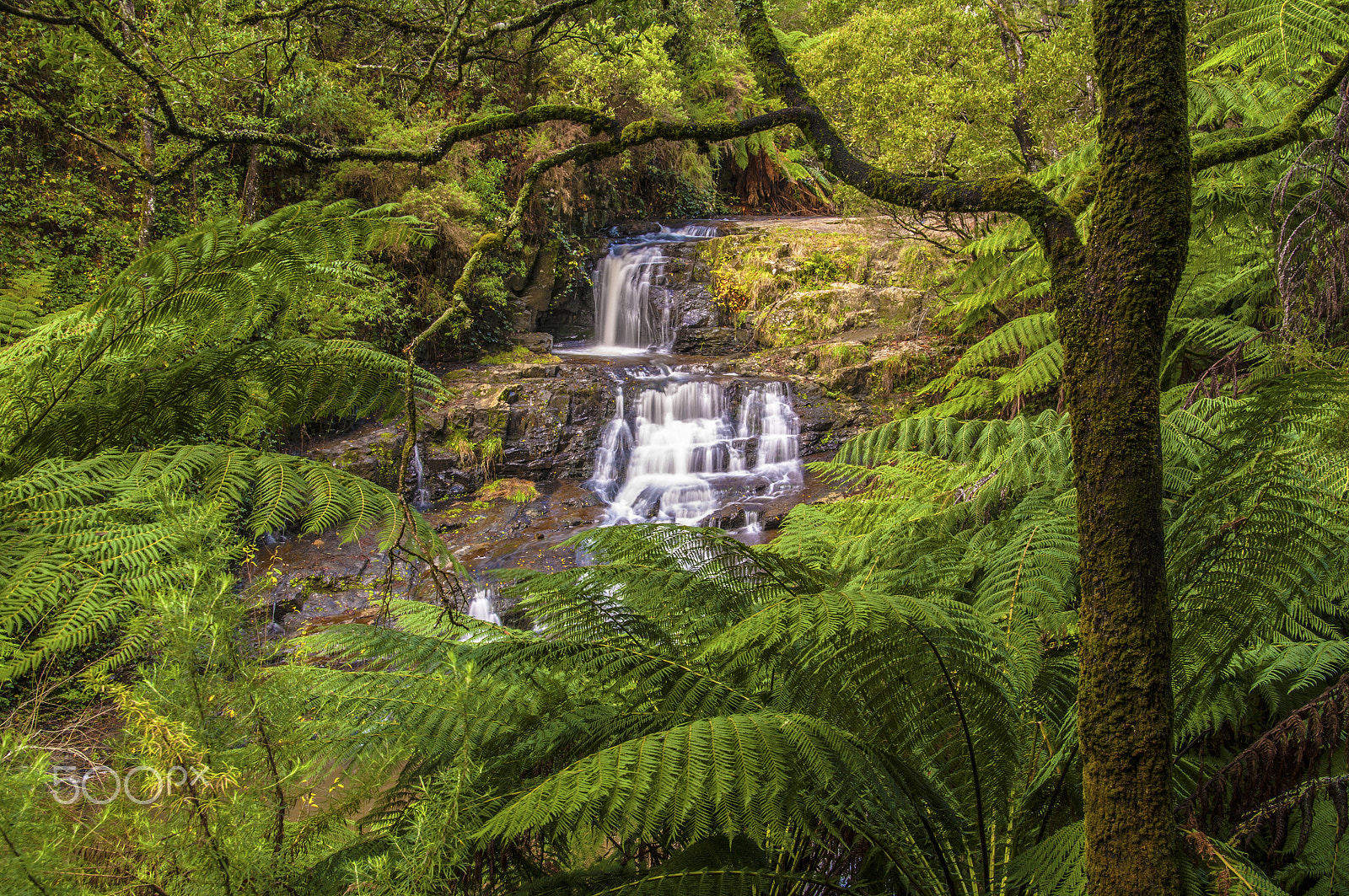 Sigma 18-250mm F3.5-6.3 DC Macro OS HSM sample photo. Turton's falls photography