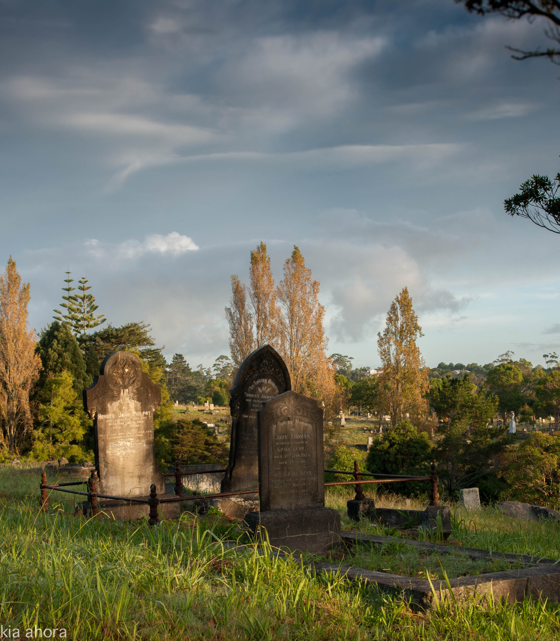 Sony Alpha DSLR-A700 sample photo. Death photography