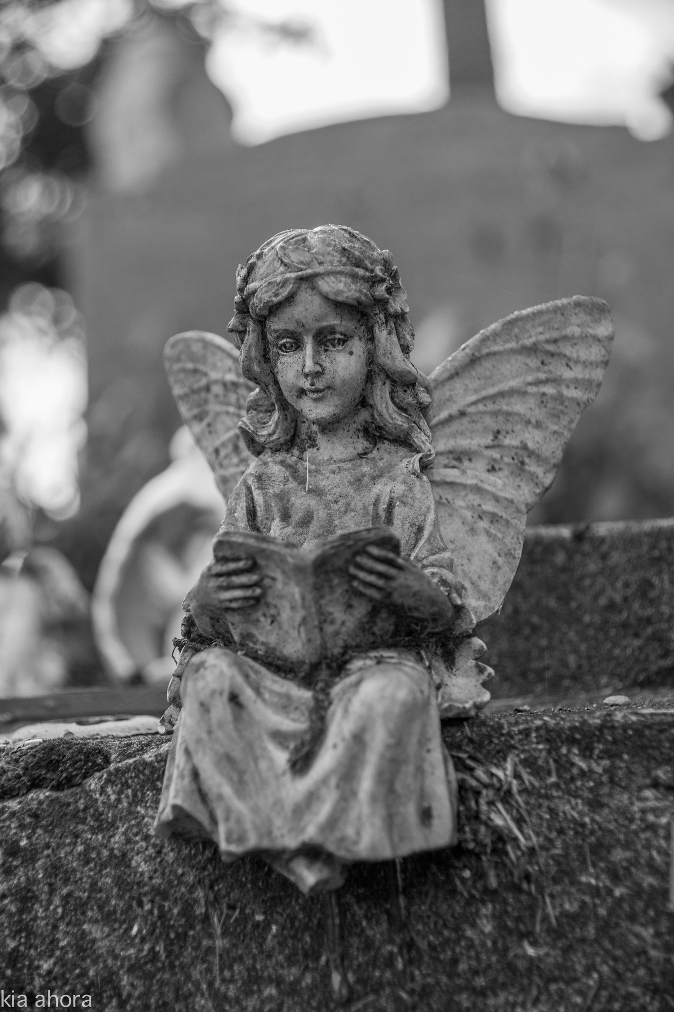 Sony Alpha DSLR-A700 sample photo