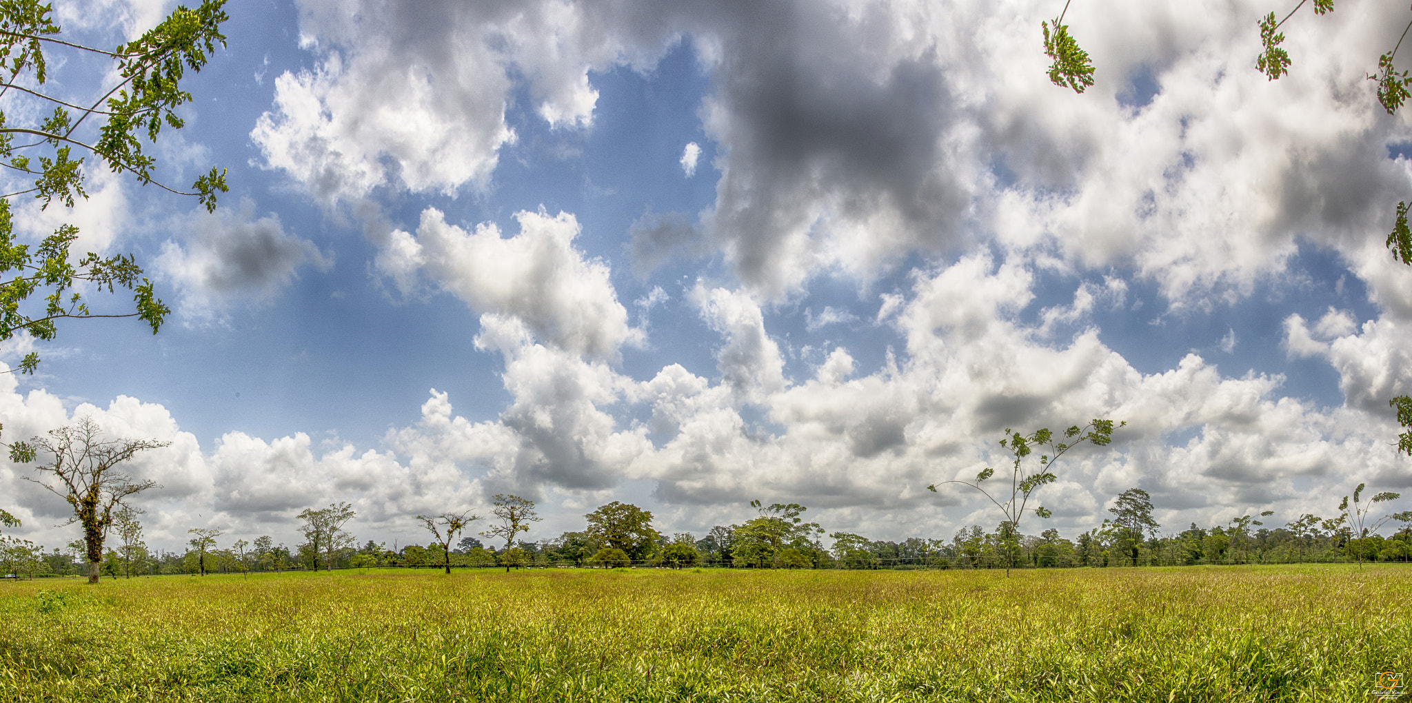 Sigma 17-70mm F2.8-4 DC Macro OS HSM sample photo. Guapiles, cr photography