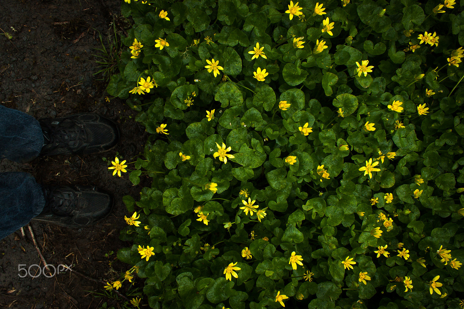 Canon EF-S 18-55mm F3.5-5.6 sample photo. Contemplation photography