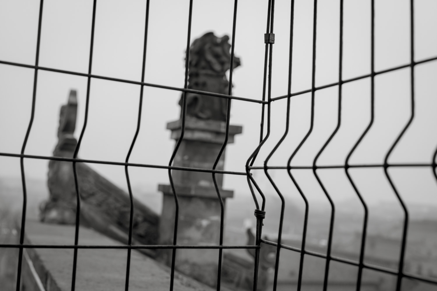 Summilux-M 1:1.4/50 sample photo. Burglar mesh photography