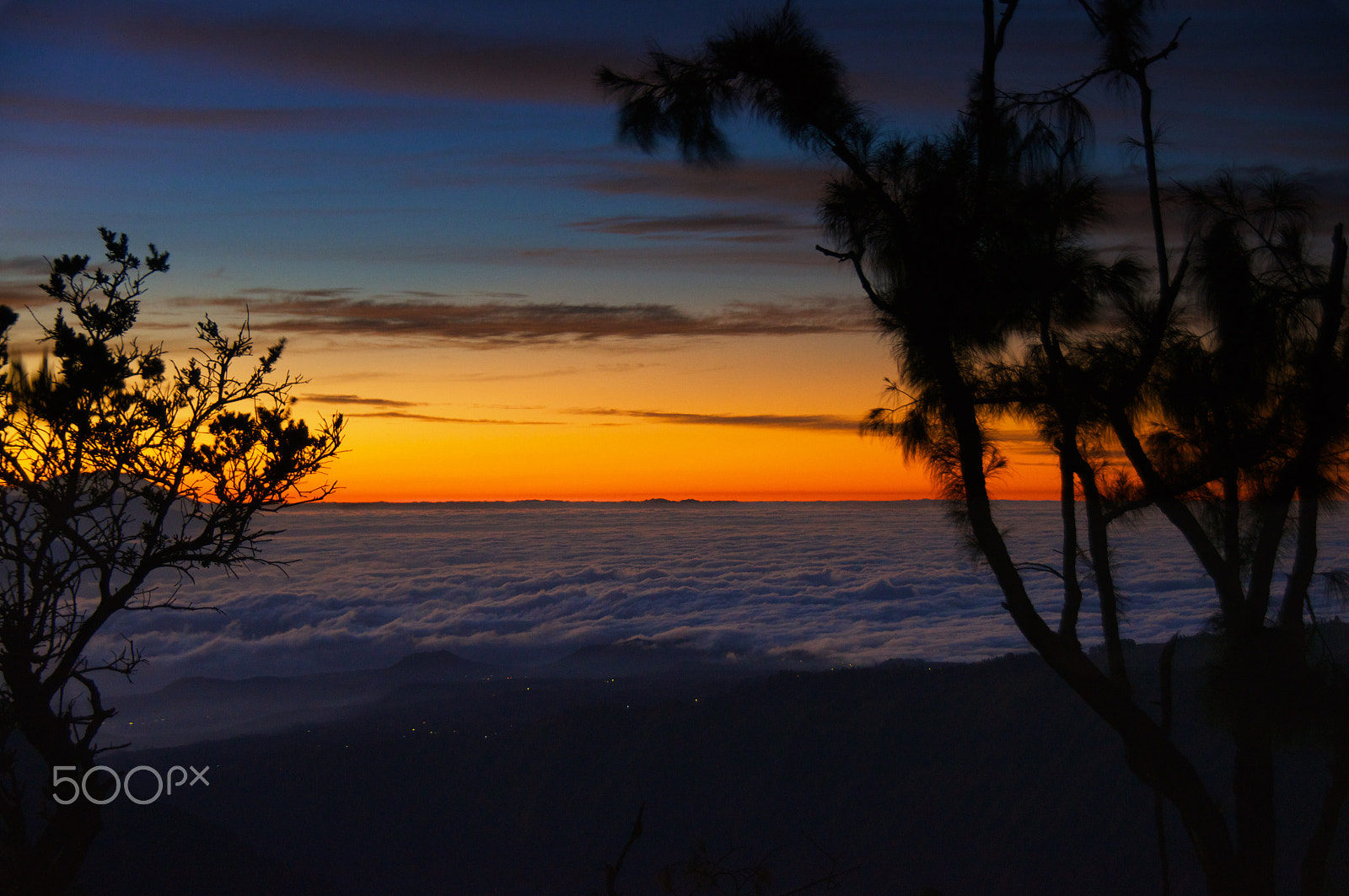 Sony Alpha DSLR-A580 sample photo. Sea of fog at dawn photography