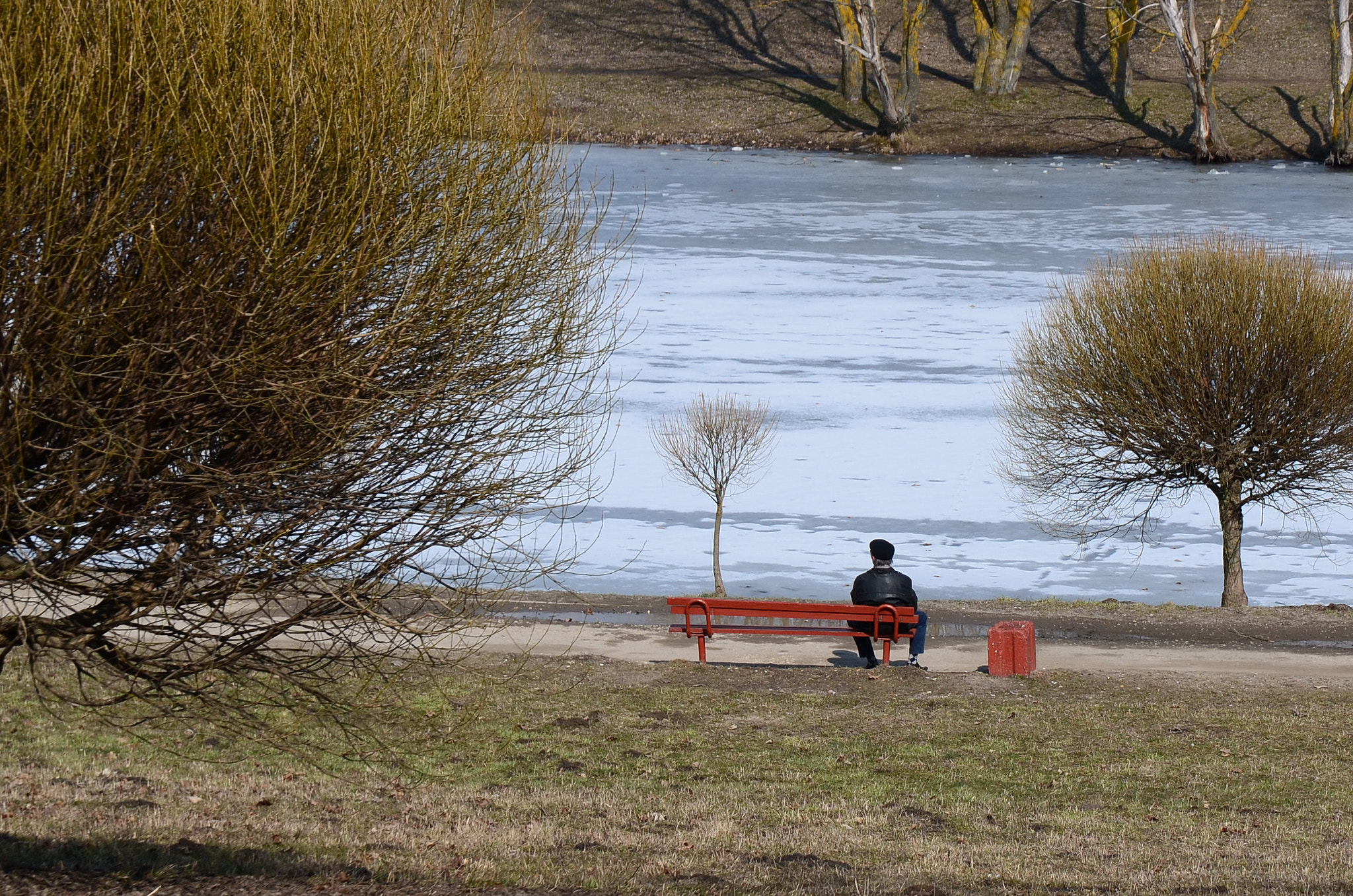 Sigma 17-70mm F2.8-4 DC Macro OS HSM | C sample photo. The first sunny spring day photography
