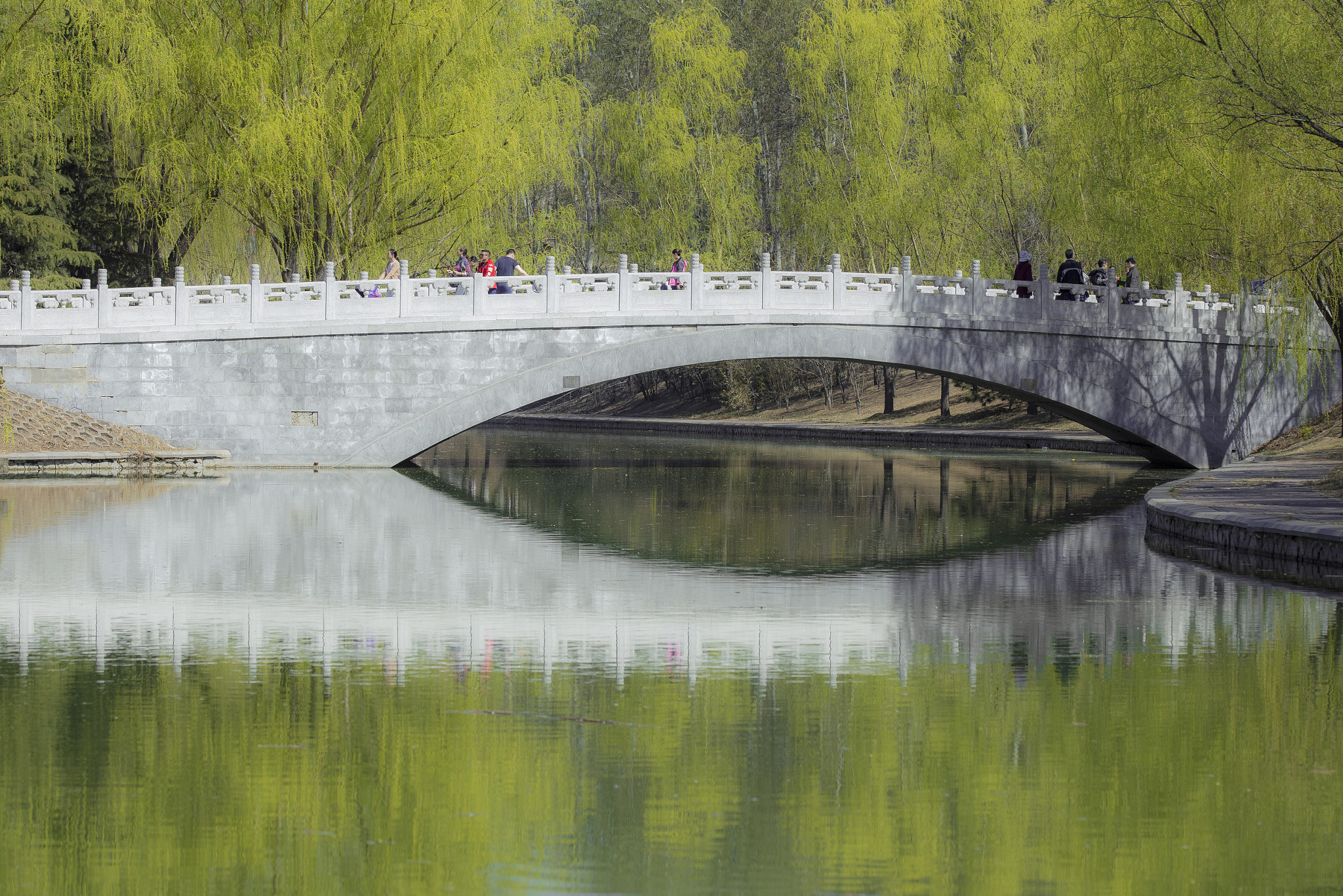 Sigma 150mm f/2.8 EX DG OS HSM APO Macro sample photo. Bridge photography