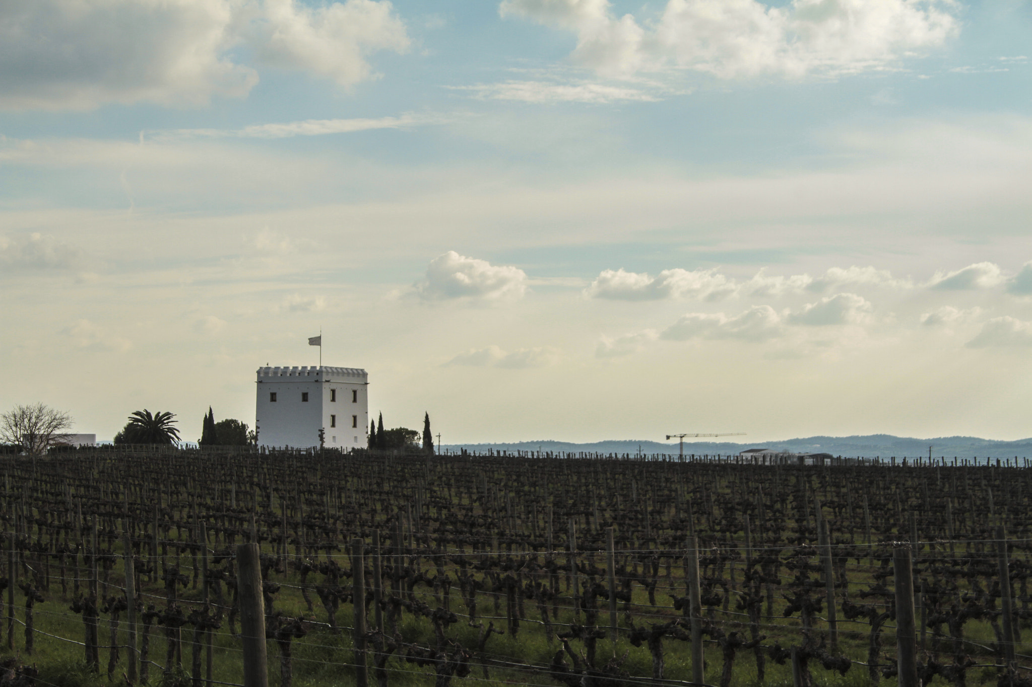 Canon EF-S 18-55mm F3.5-5.6 sample photo. Herdade photography