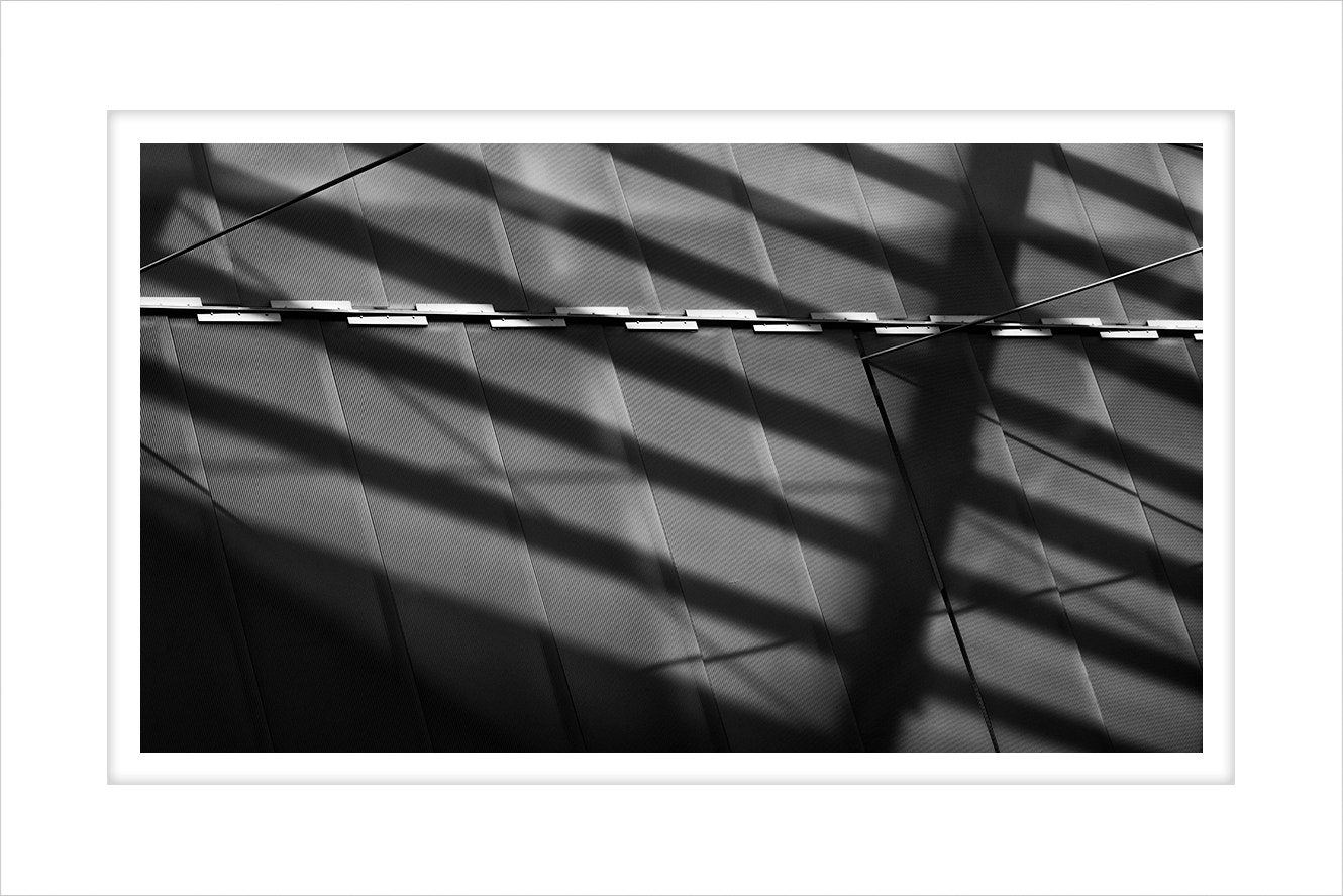 AF Zoom-Nikkor 28-80mm f/3.3-5.6G sample photo. Mc photography