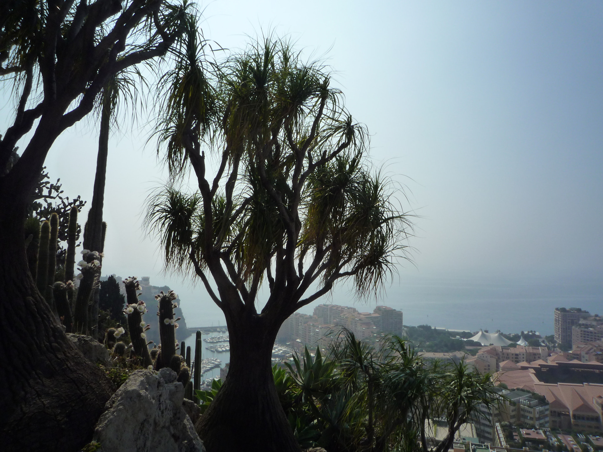 Panasonic DMC-FX35 sample photo. Horizon photography