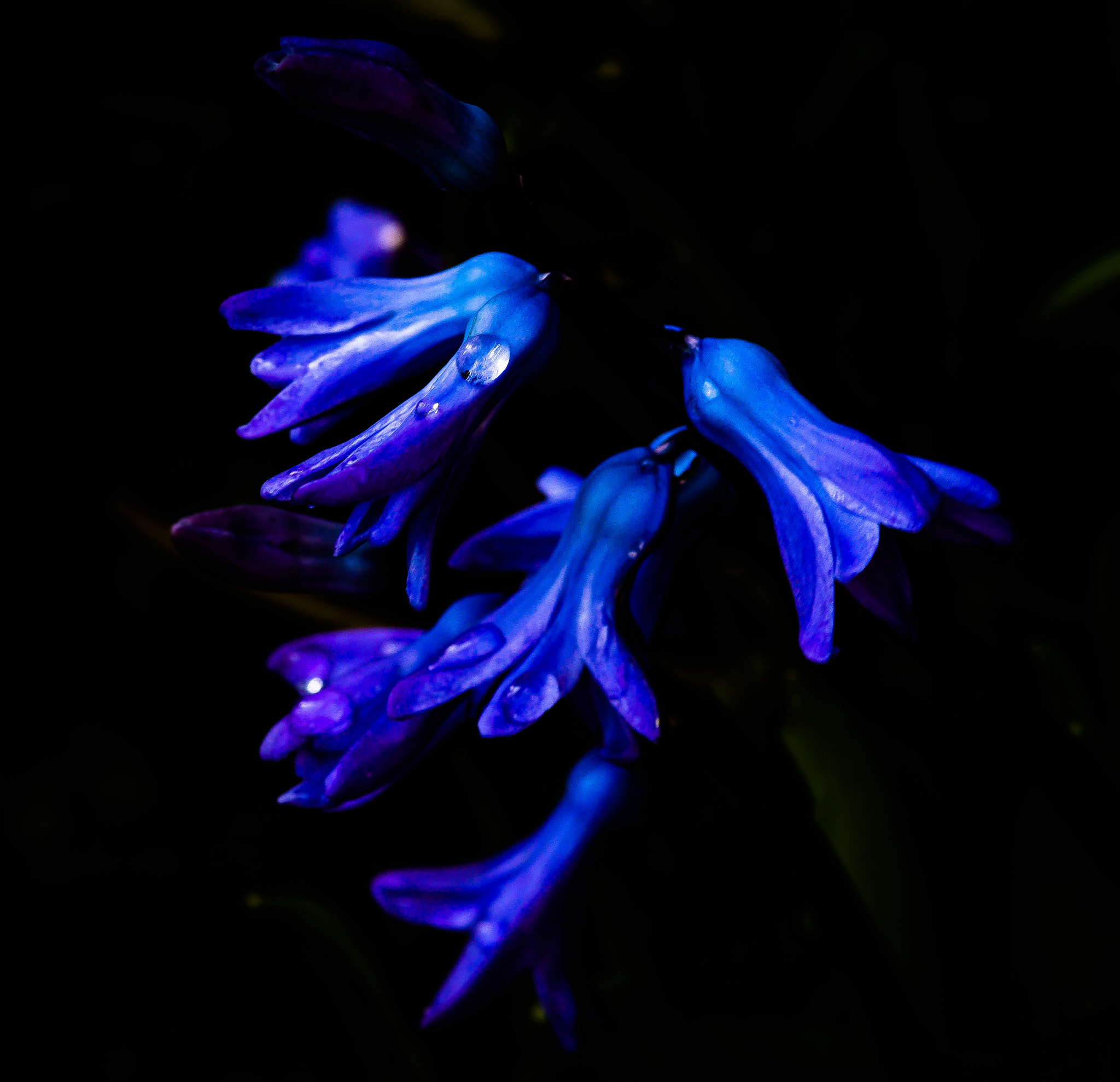 Sony SLT-A77 + Sigma 30mm F1.4 EX DC HSM sample photo. Blau photography