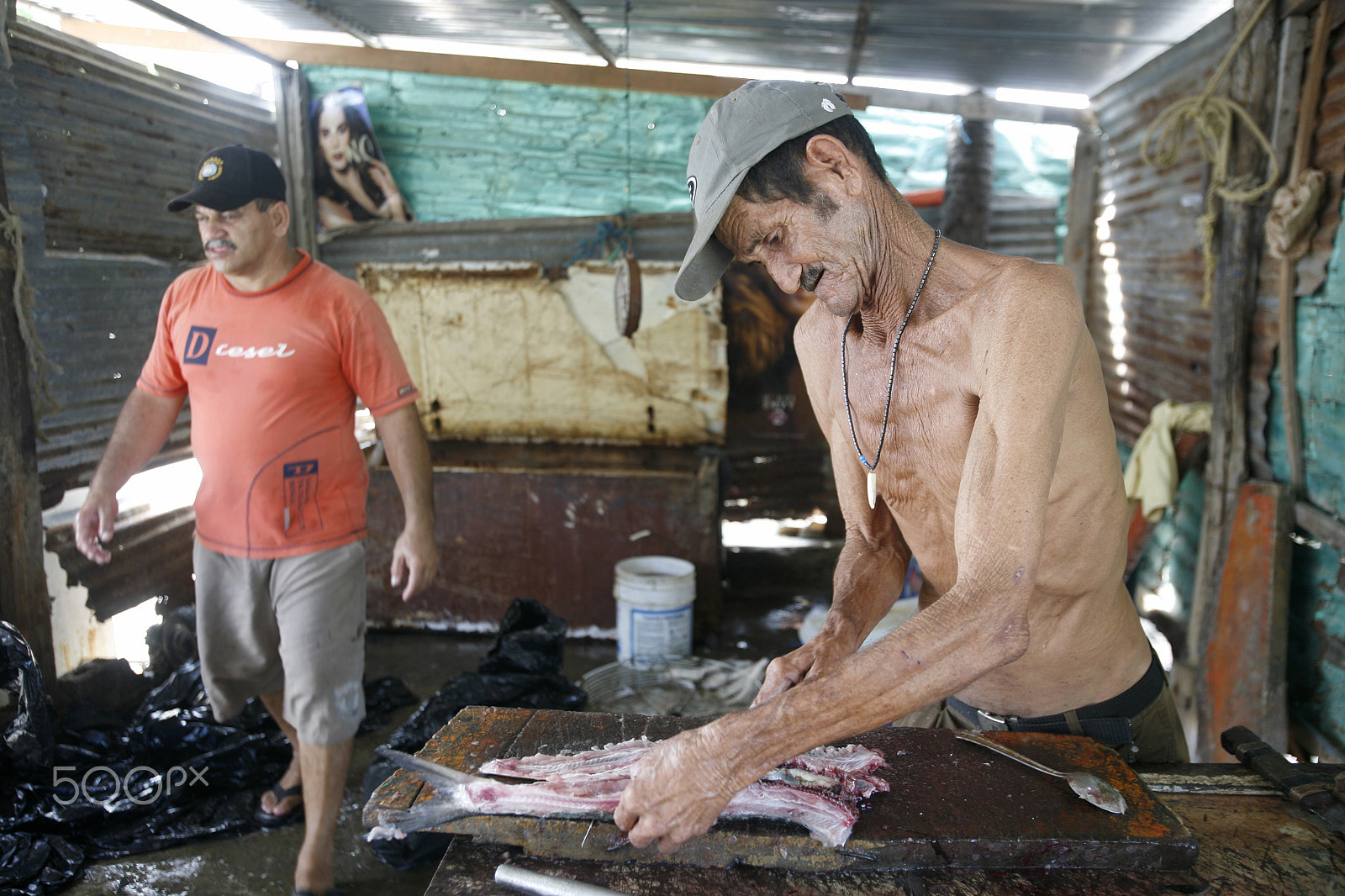 Canon EOS 5D + Canon EF 16-35mm F2.8L USM sample photo. South america venezuela isla margatita juangriego fish market photography