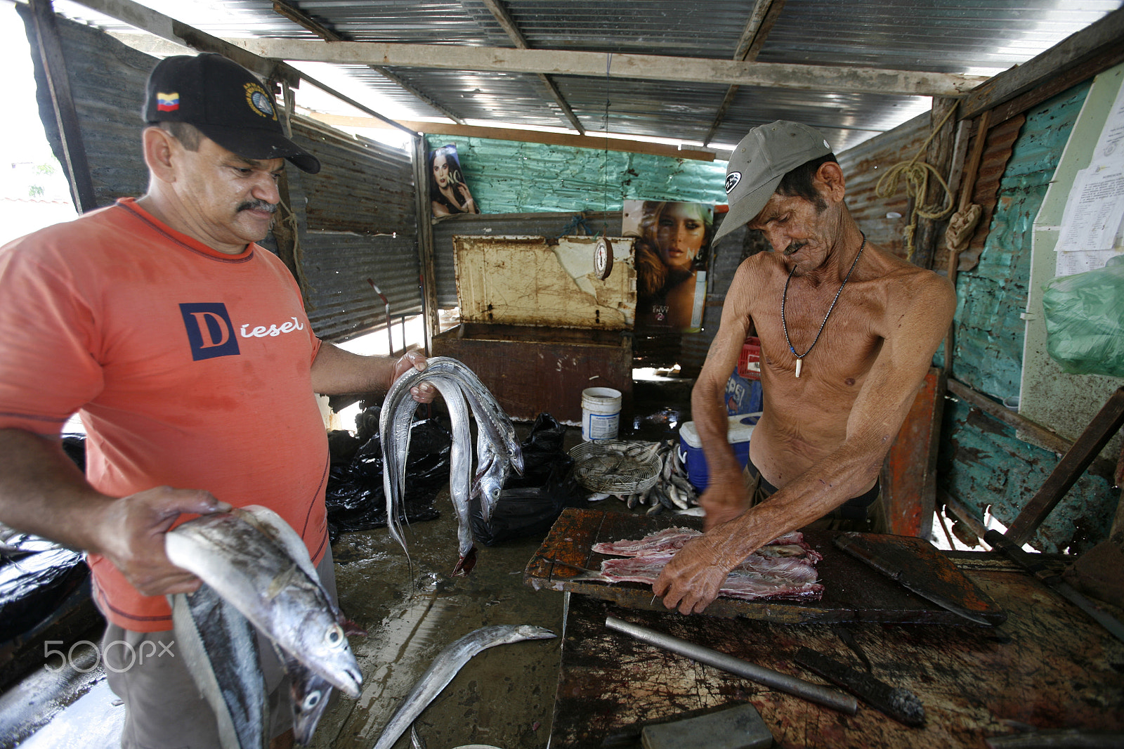 Canon EOS 5D + Canon EF 16-35mm F2.8L USM sample photo. South america venezuela isla margatita juangriego fish market photography