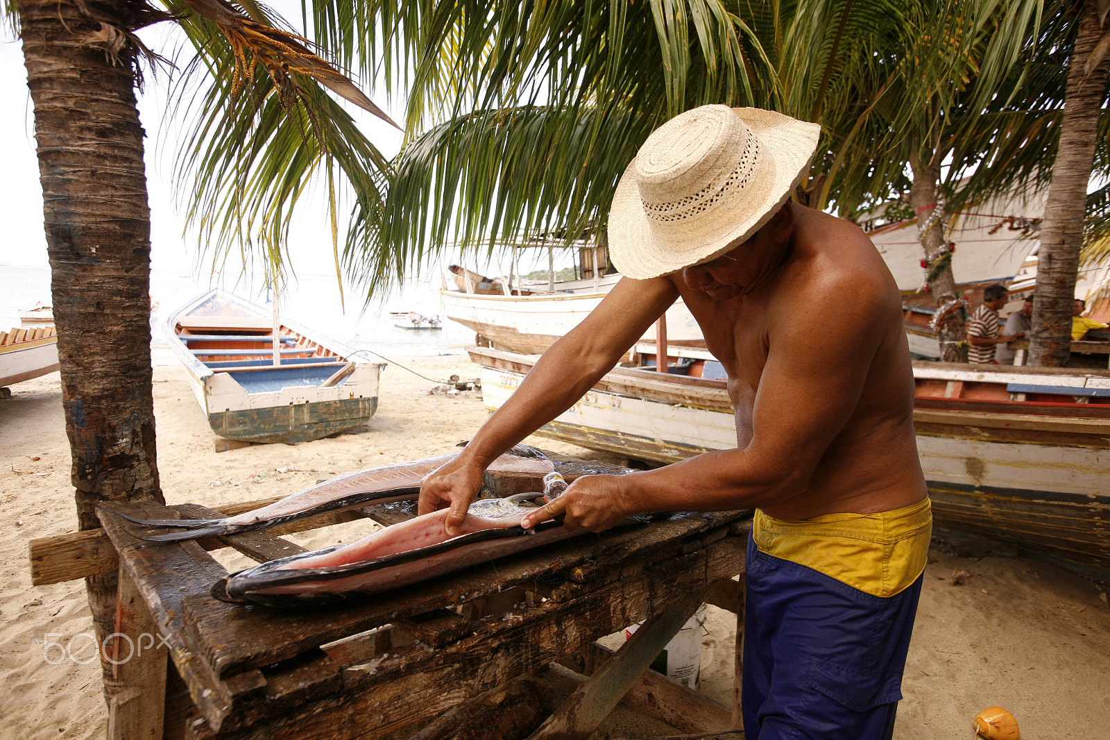 Canon EOS 5D + Canon EF 16-35mm F2.8L USM sample photo. South america venezuela isla margatita juangriego fish market photography