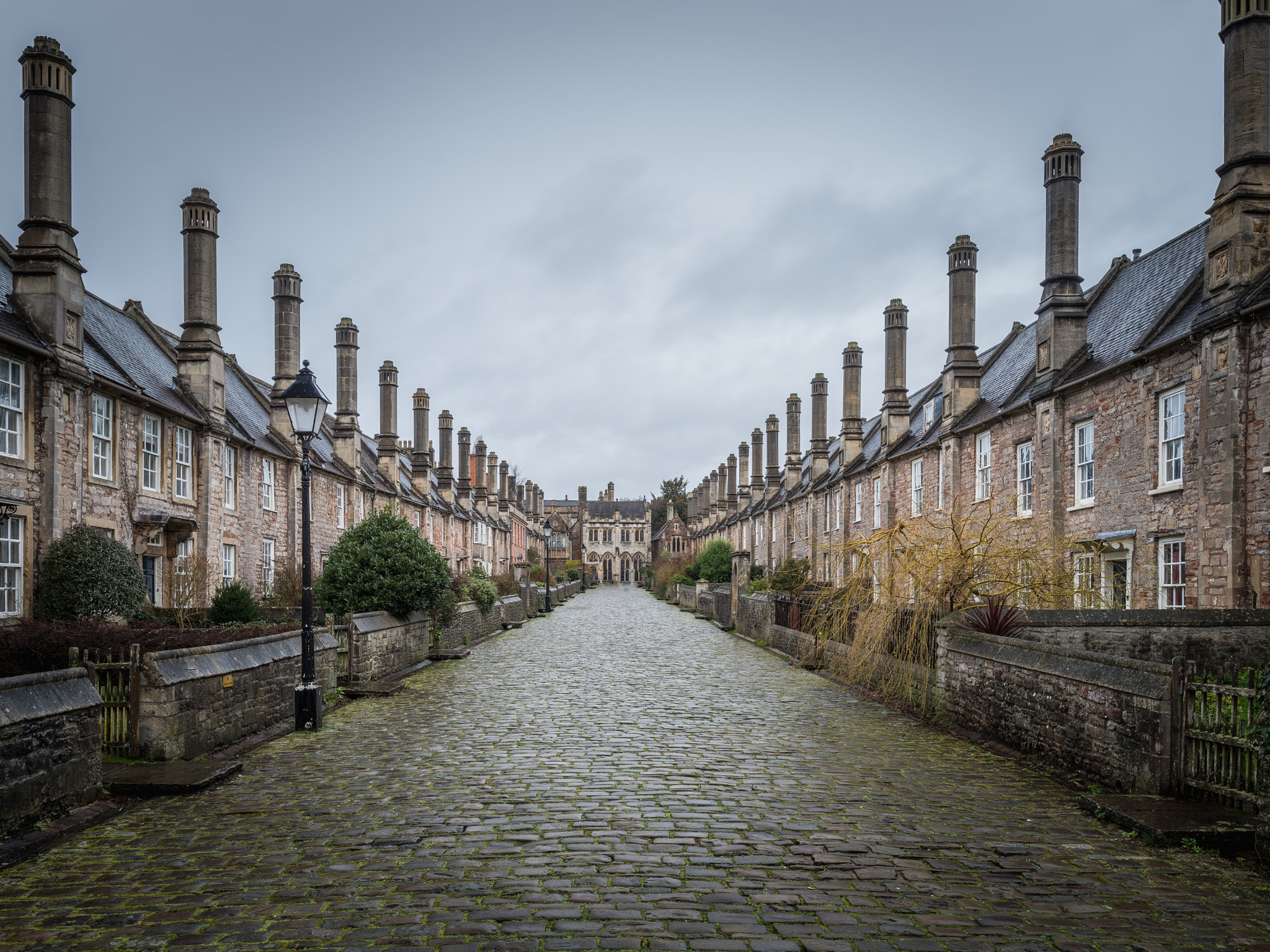 Nikon D800 + Nikon PC-E Nikkor 24mm F3.5D ED Tilt-Shift sample photo. Vicar's close photography