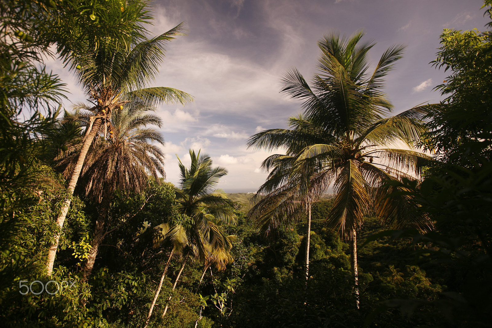 Canon EOS 5D + Canon EF 16-35mm F2.8L USM sample photo. South america venezuela isla margatita la asuncion landscape photography