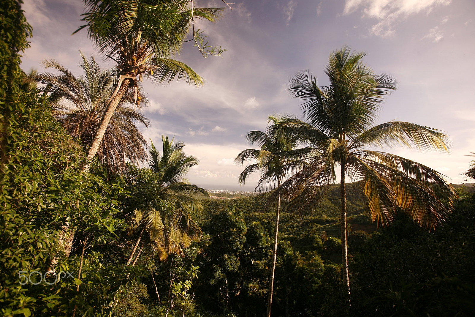 Canon EOS 5D + Canon EF 16-35mm F2.8L USM sample photo. South america venezuela isla margatita la asuncion landscape photography