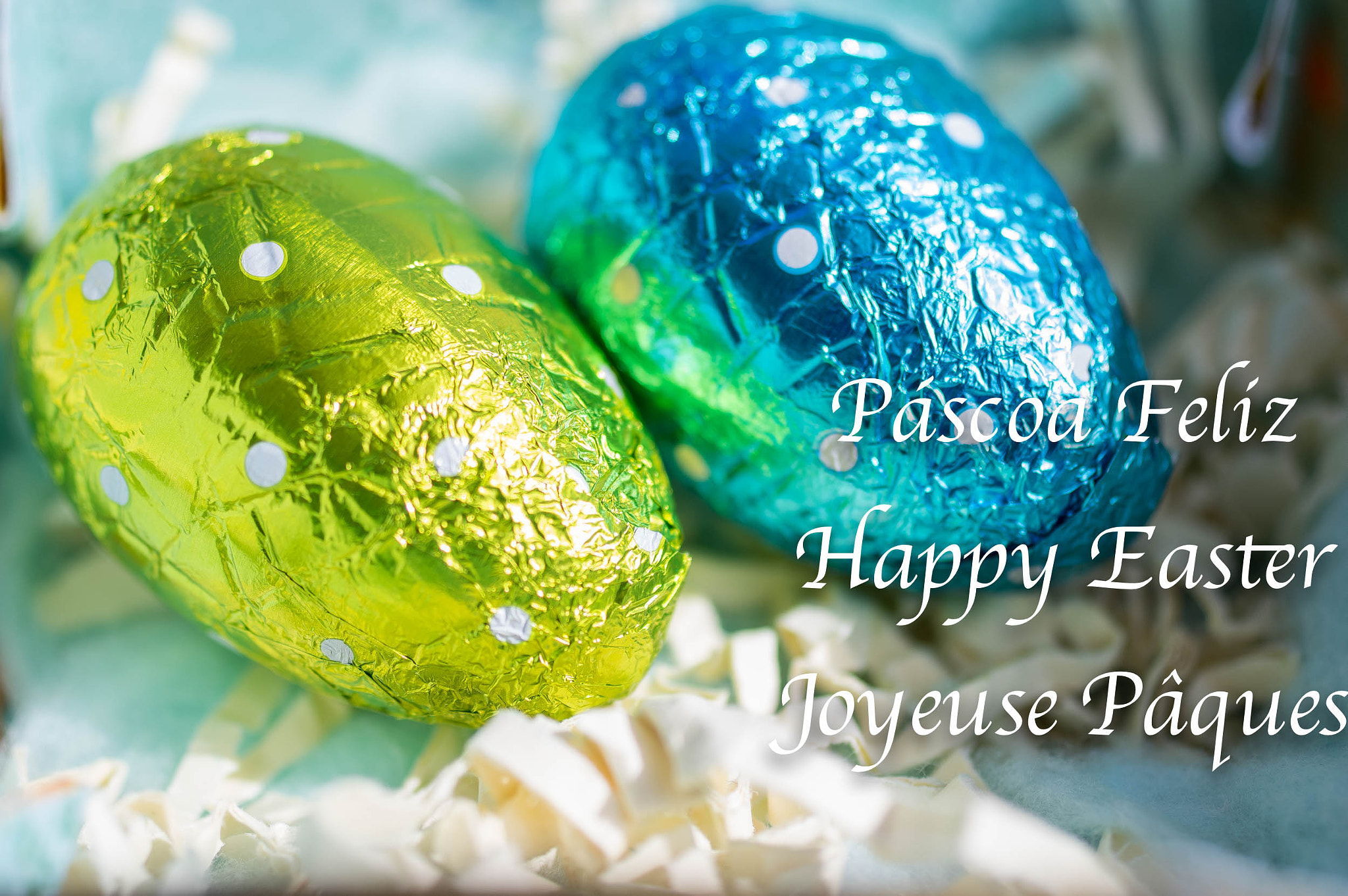 Pentax smc D-FA 50mm F2.8 Macro sample photo. Happy easter photography