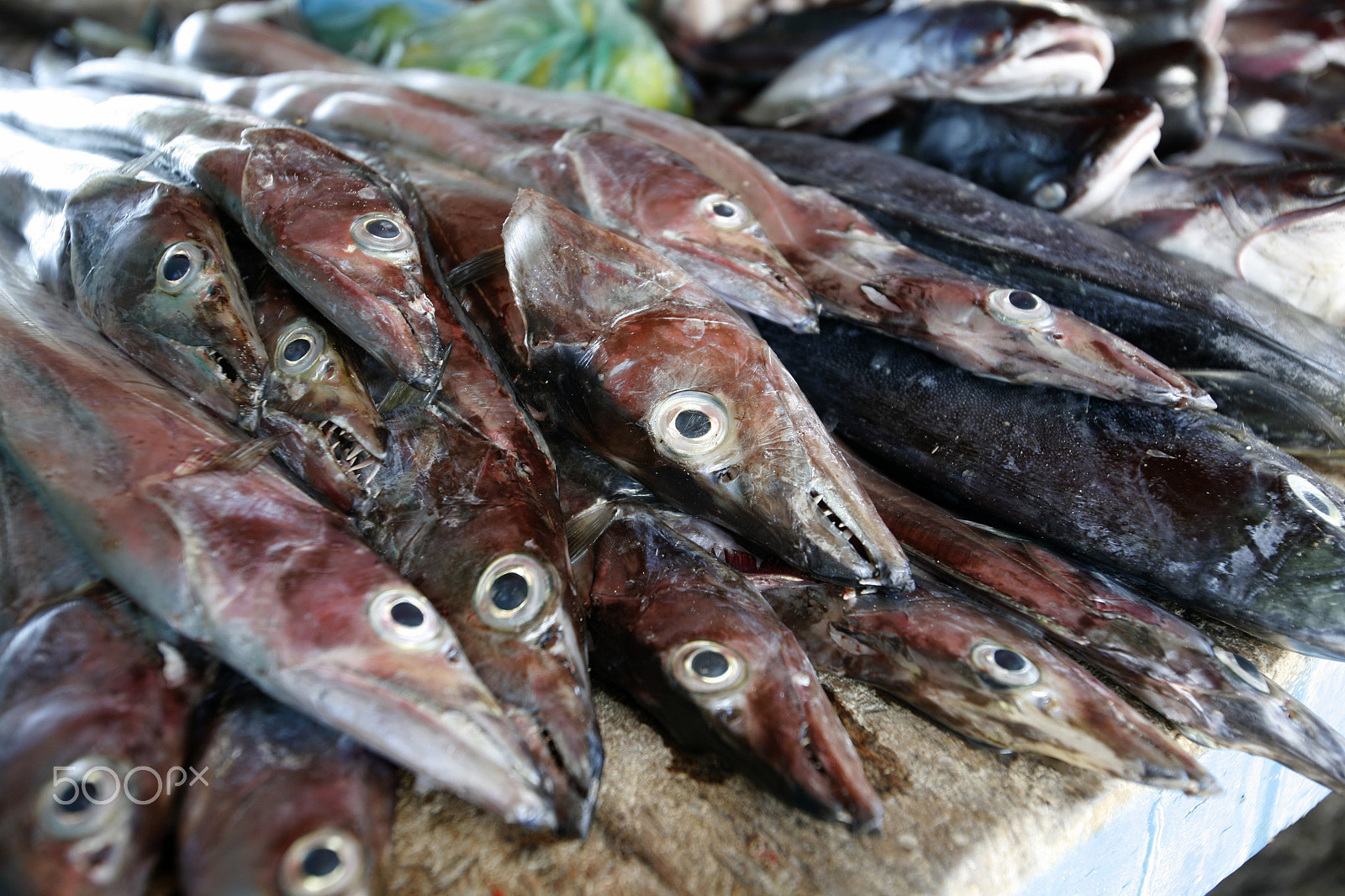 Canon EOS 5D + Canon EF 16-35mm F2.8L USM sample photo. South america venezuela isla margatita juangriego fish market photography