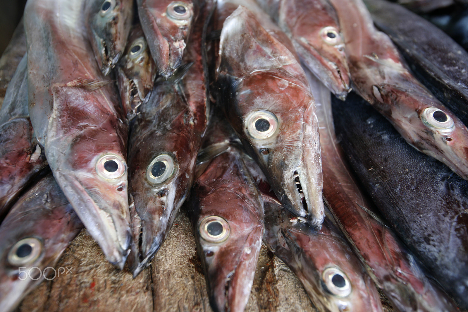 Canon EOS 5D + Canon EF 16-35mm F2.8L USM sample photo. South america venezuela isla margatita juangriego fish market photography