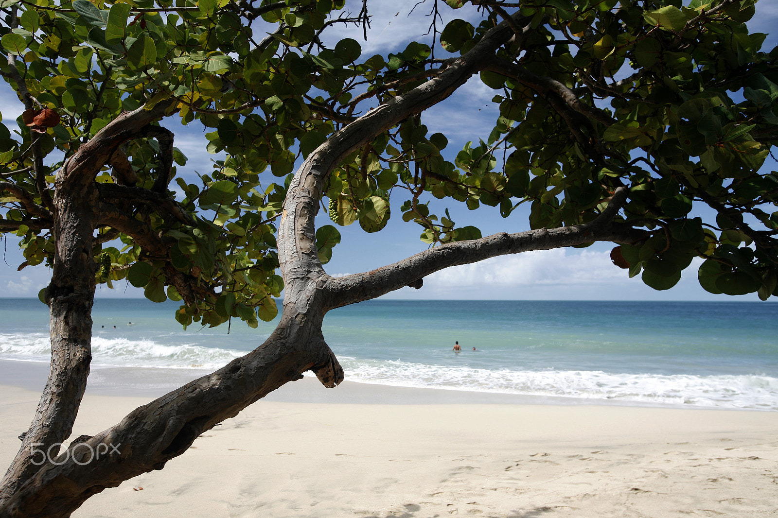 Canon EOS 5D + Canon EF 16-35mm F2.8L USM sample photo. South america venezuela isla margatita pedro gonzalez beach photography