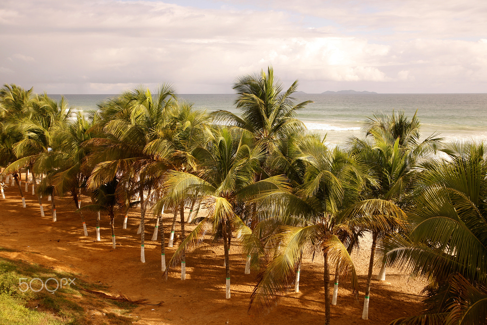 Canon EOS 5D + Canon EF 16-35mm F2.8L USM sample photo. South america venezuela isla margatita guacuco photography