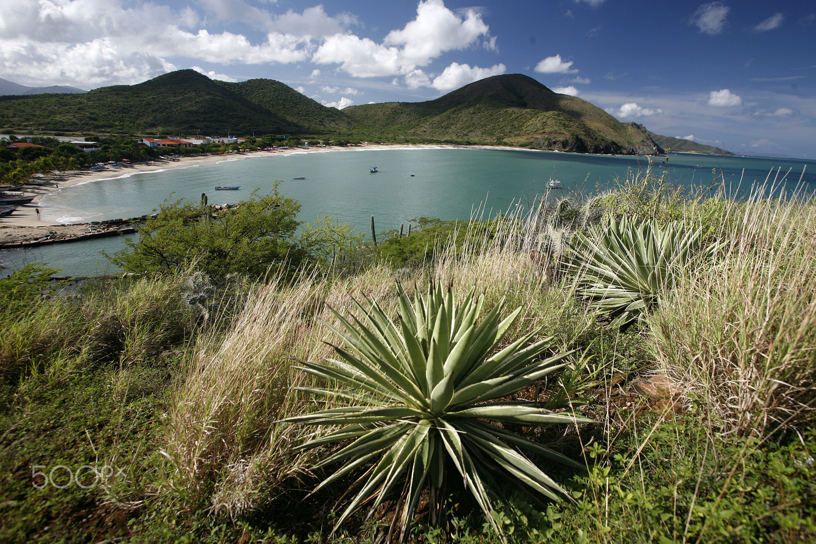 Canon EOS 5D + Canon EF 16-35mm F2.8L USM sample photo. South america venezuela isla margatita pedro gonzalez beach photography