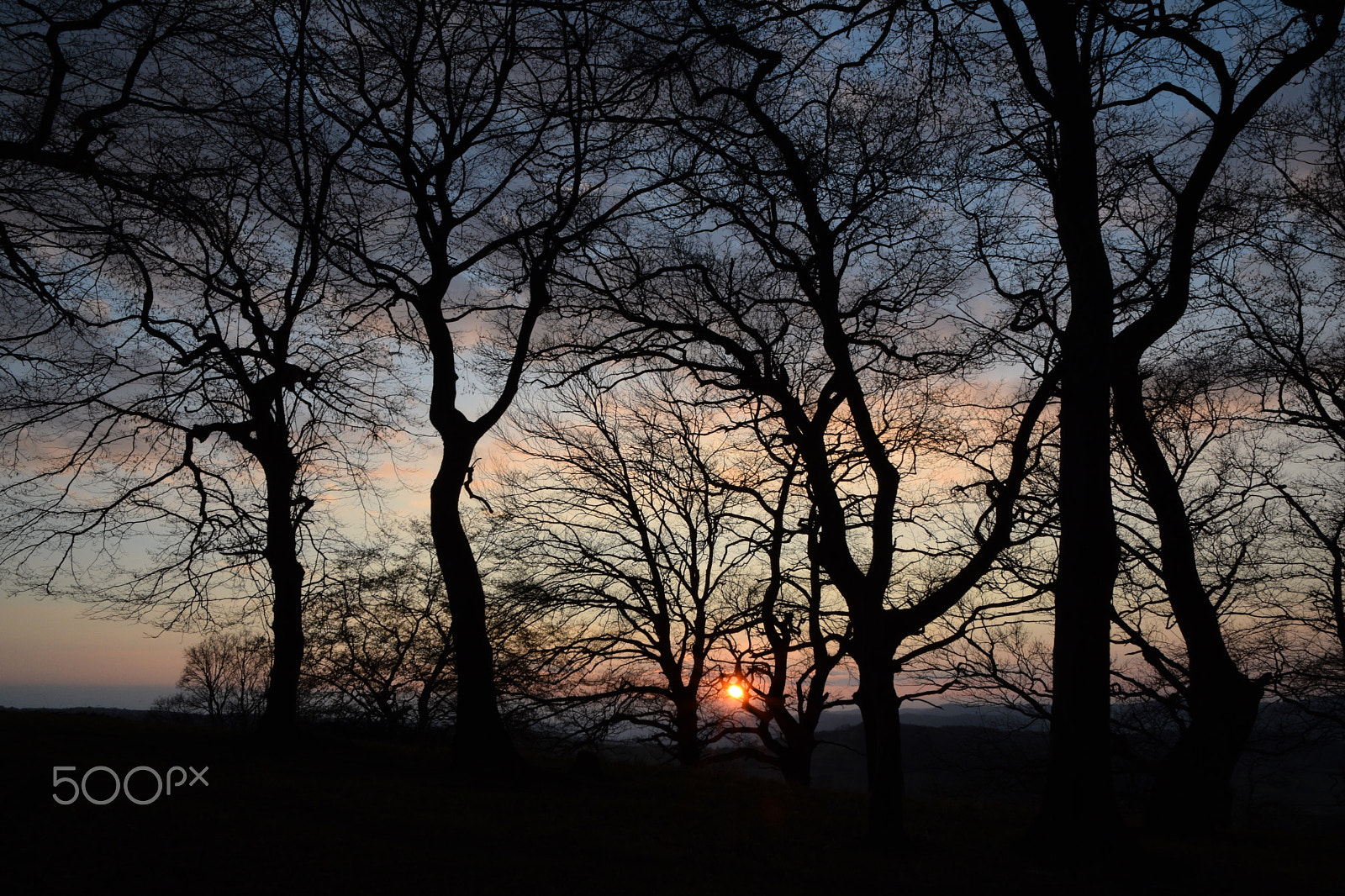 Nikon D3300 + Sigma 17-70mm F2.8-4 DC Macro OS HSM | C sample photo. Colors of the night ! photography