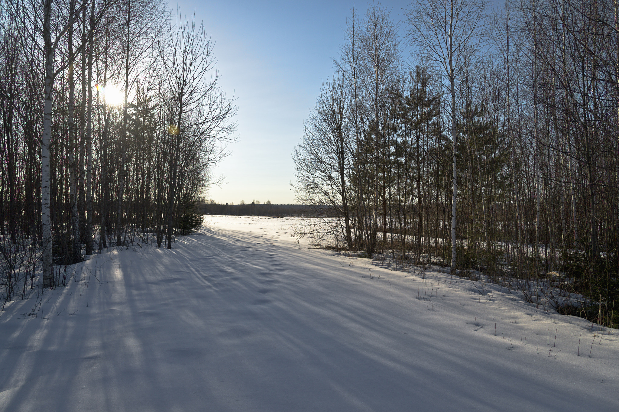Nikon Df sample photo. Springtime photography