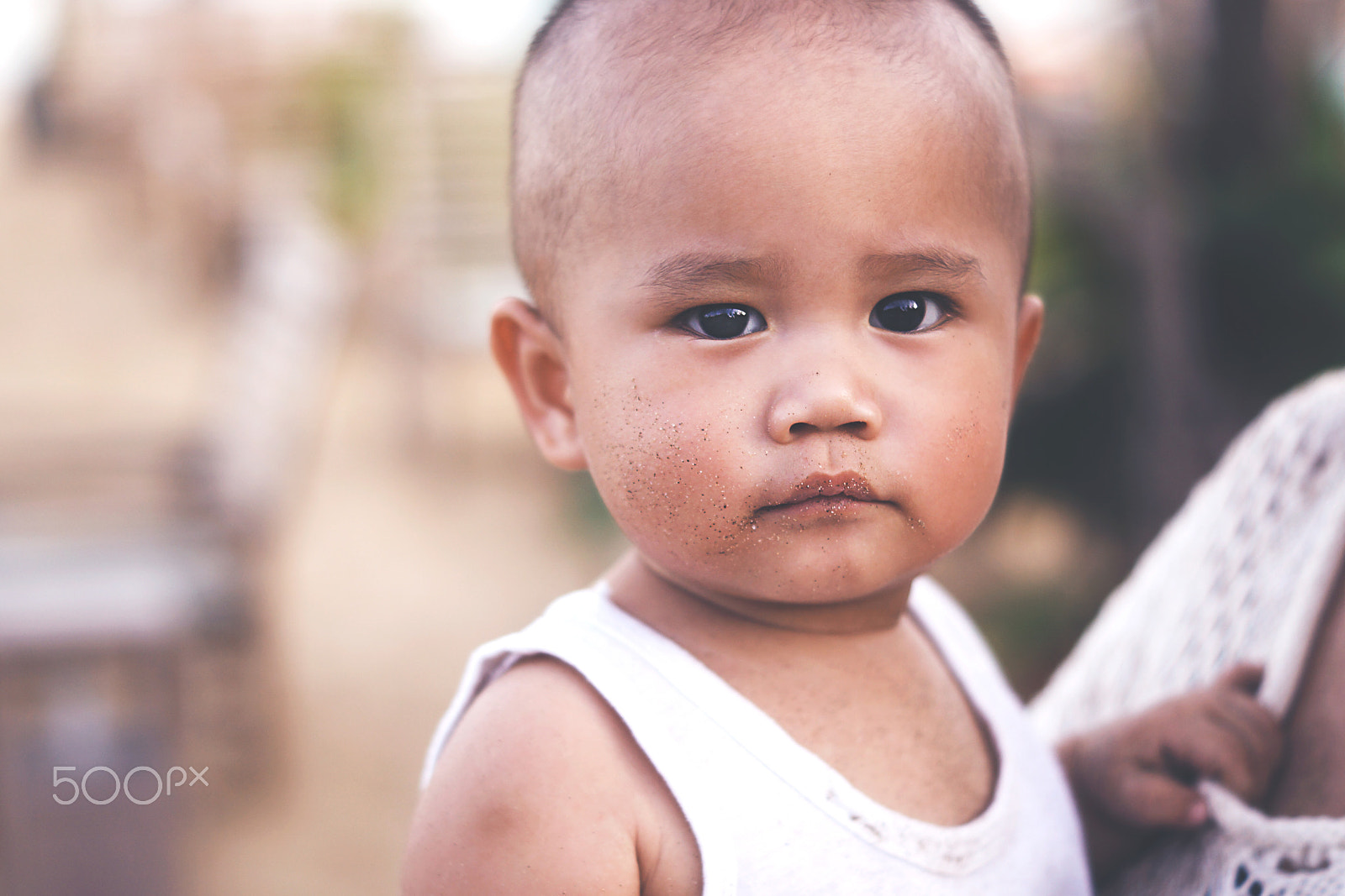 Sony SLT-A77 + Sony DT 50mm F1.8 SAM sample photo. Love his eyes 3 photography