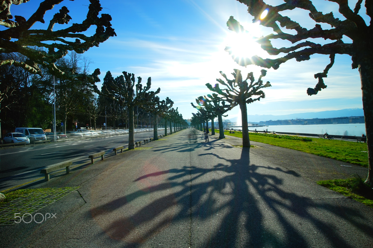 Sony a7 + Sigma 20mm F1.8 EX DG Aspherical RF sample photo. Lake waterfront - geneva photography