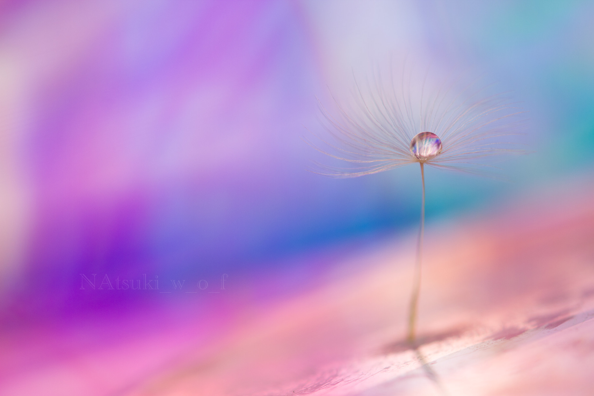 Tamron SP AF 180mm F3.5 Di LD (IF) Macro sample photo. My world photography