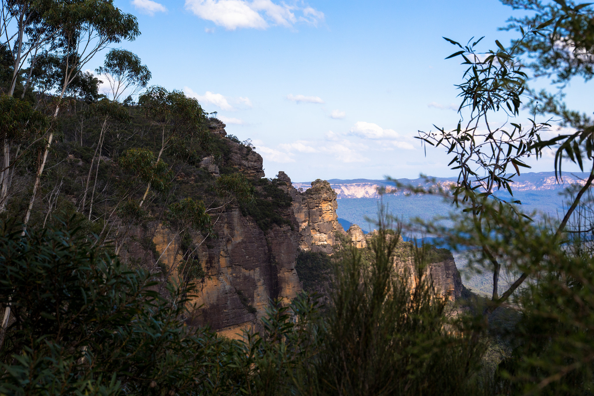 Canon EOS 6D + Canon EF 500mm F4L IS USM sample photo. Blue mountains foliage photography