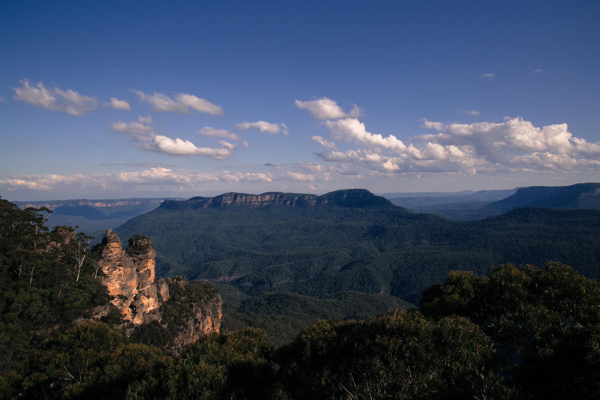 Canon EOS 6D + Canon EF 500mm F4L IS USM sample photo. Blue mountains photography